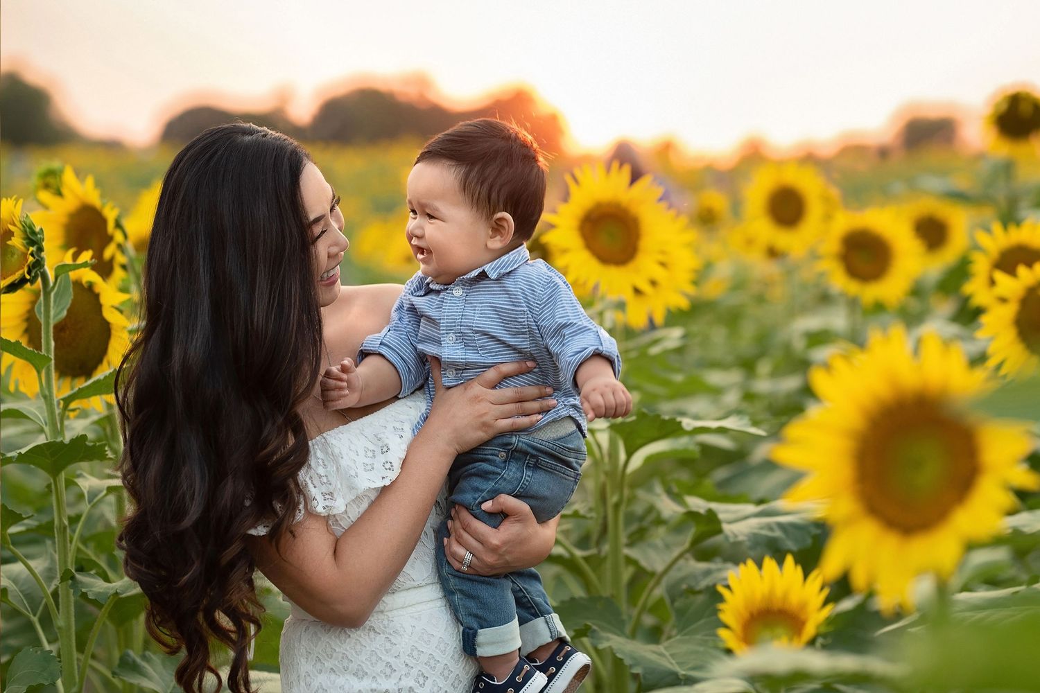 Sunflower session