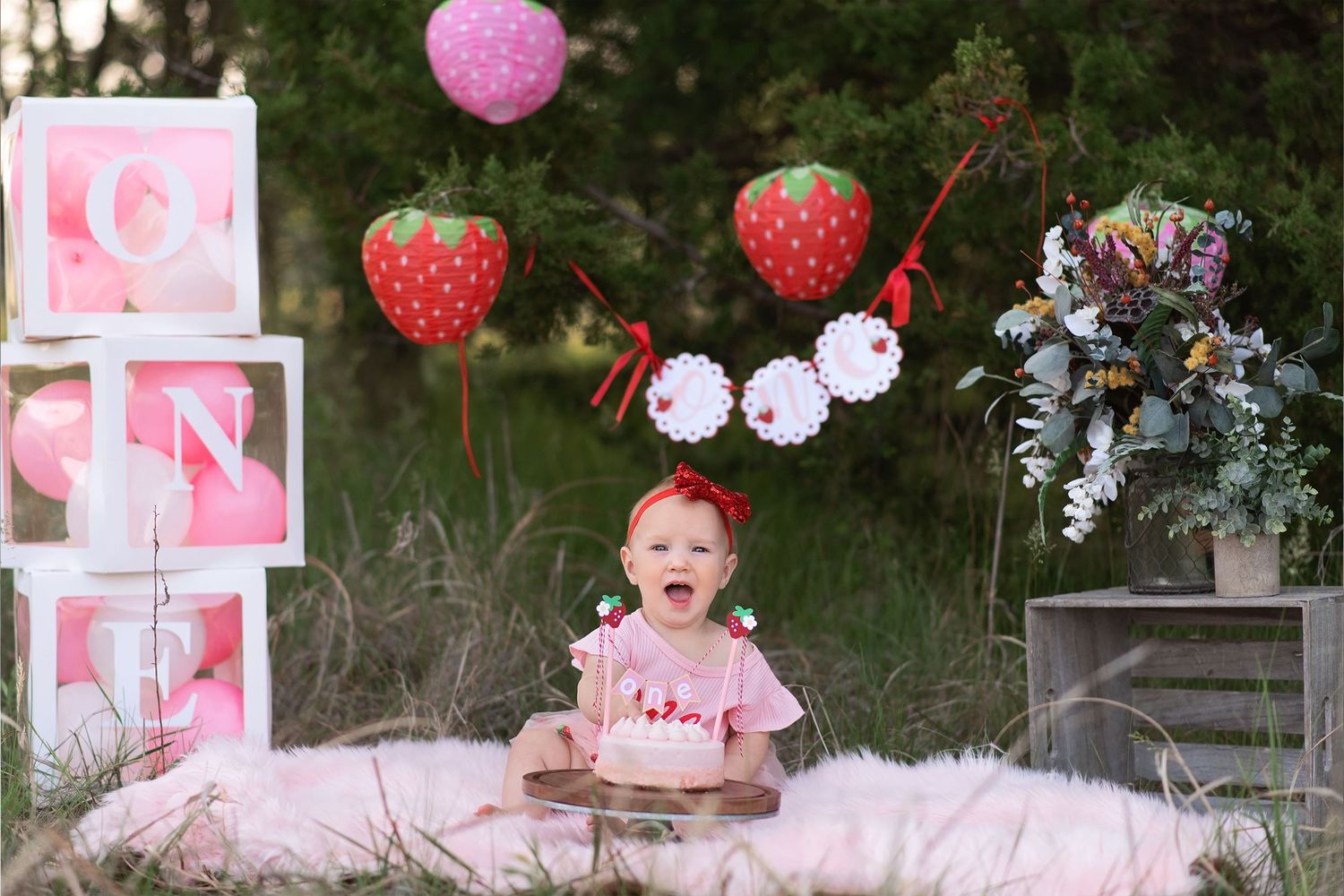 first birthday session
