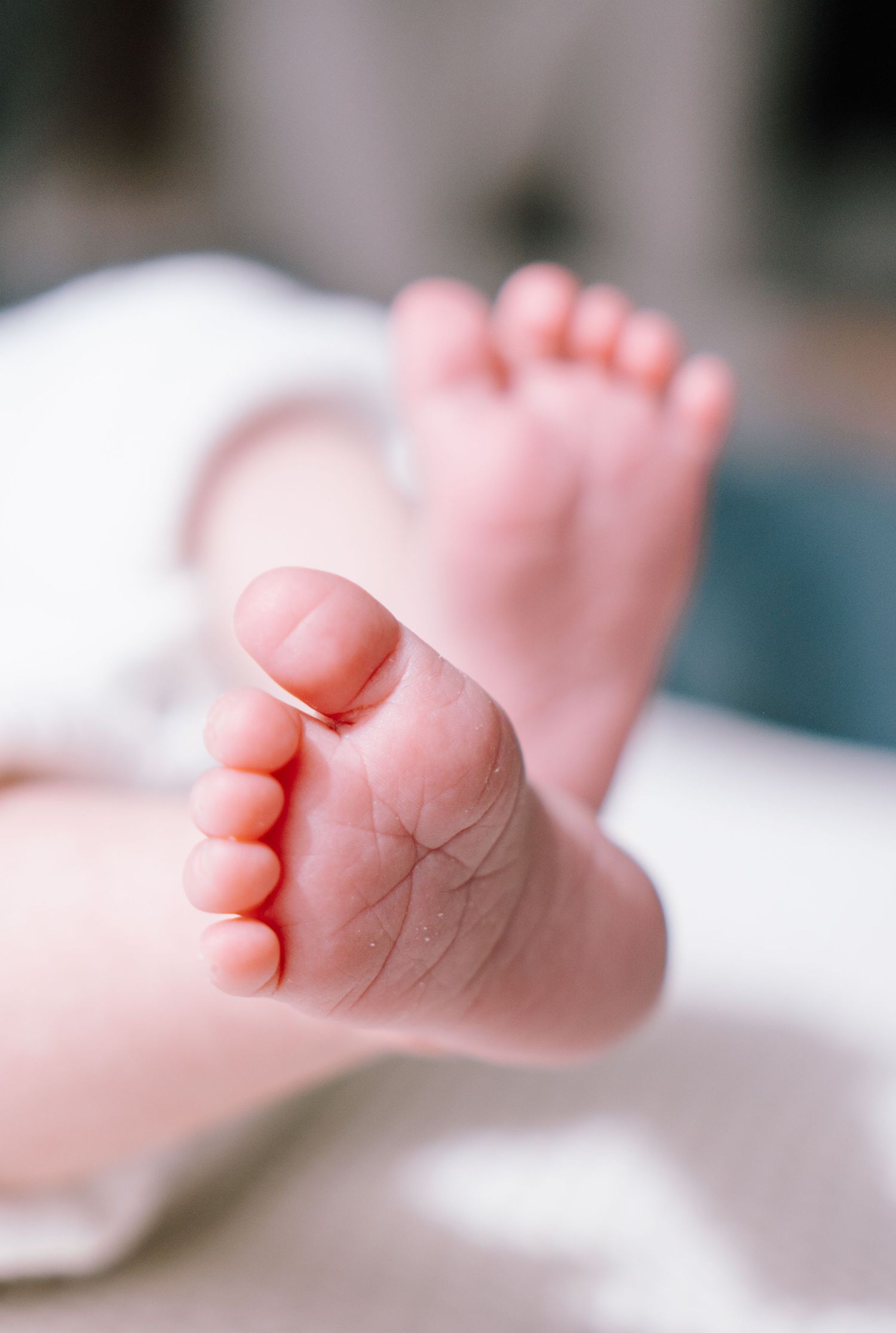 Close-up view of tiny newborn baby toes in soft focus against white background.
