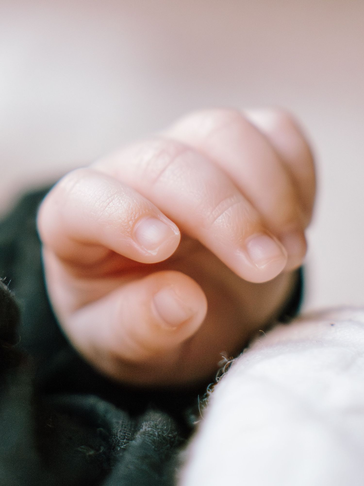 Close-up macro shot of tiny baby fingers against a dark green fabric background.