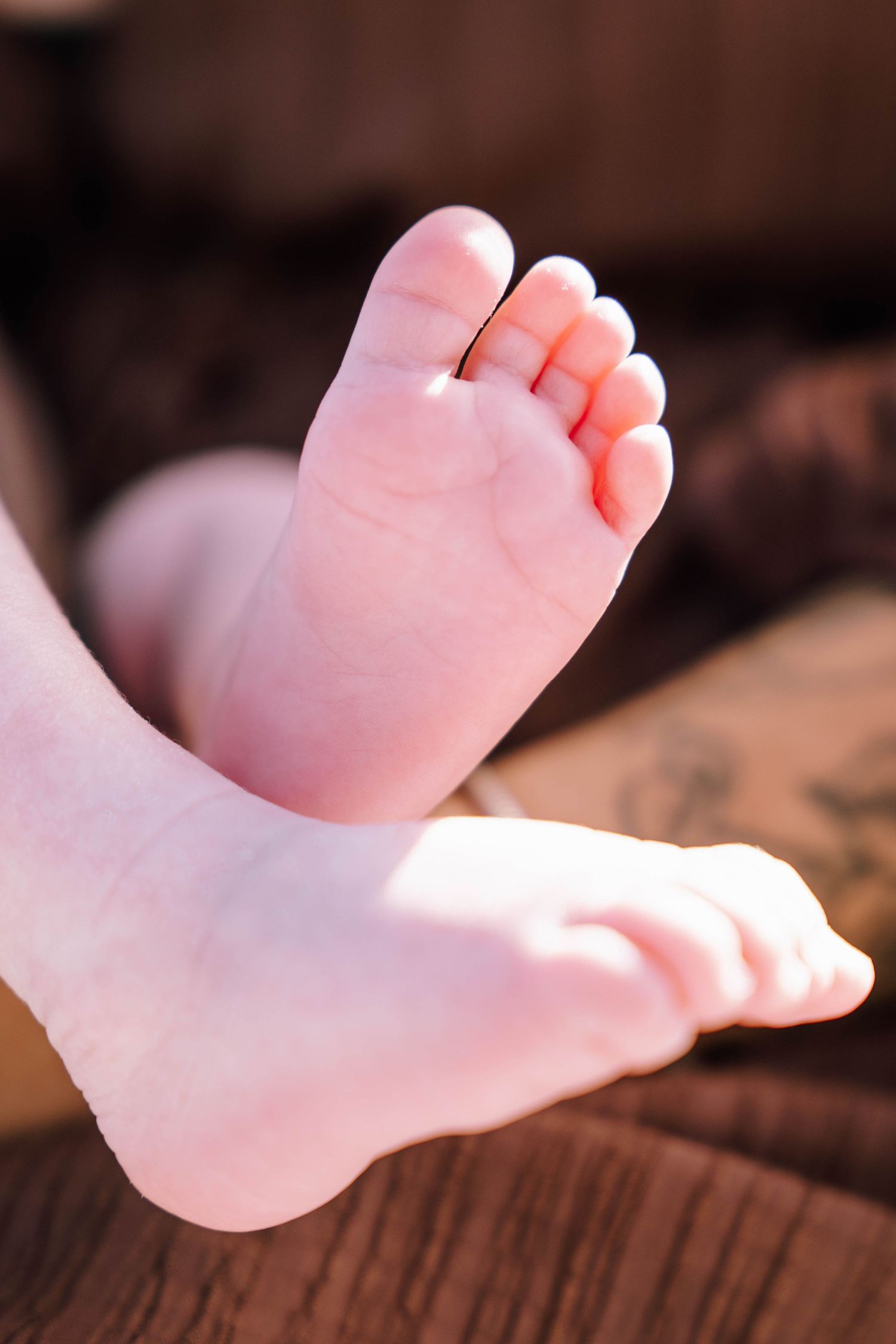 Close-up of soft, tiny baby feet with pink toes resting on a brown surface.