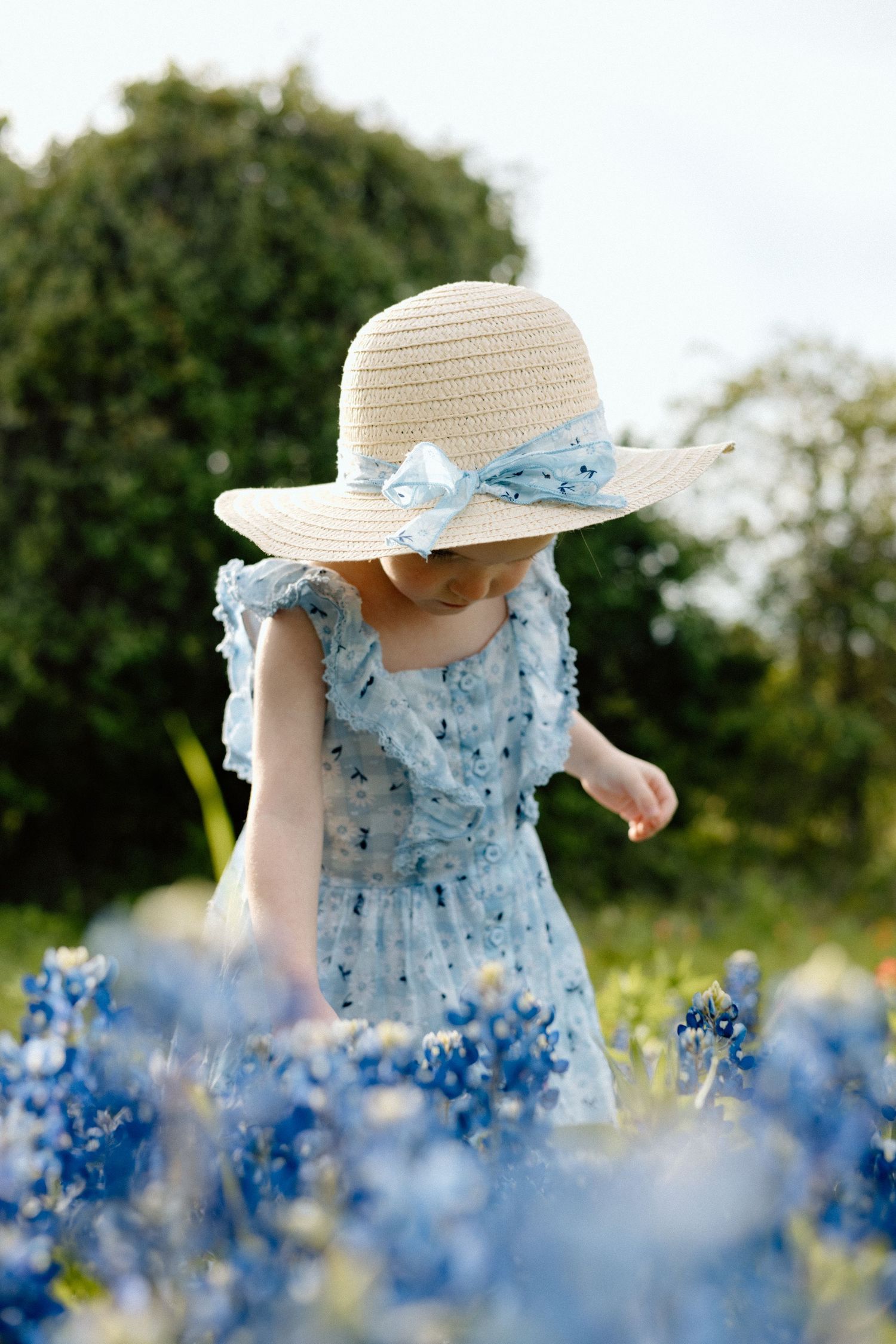 Young girl in blue floral dress and straw sun hat picking bluebonnets in a sunny field.