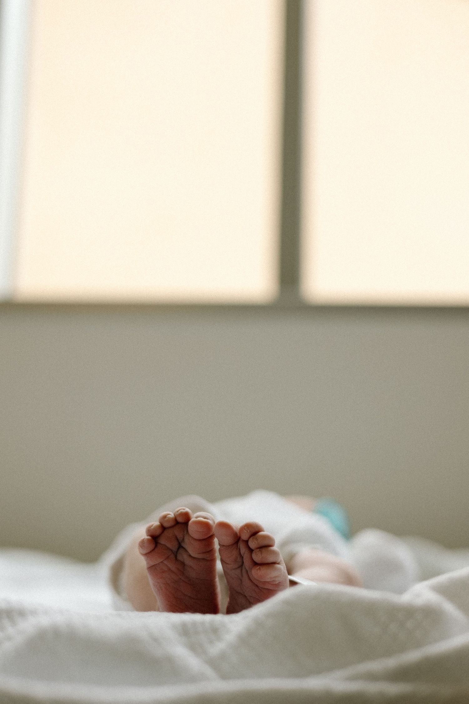 Newborn photography, faceless, little feet in Austin, Texas