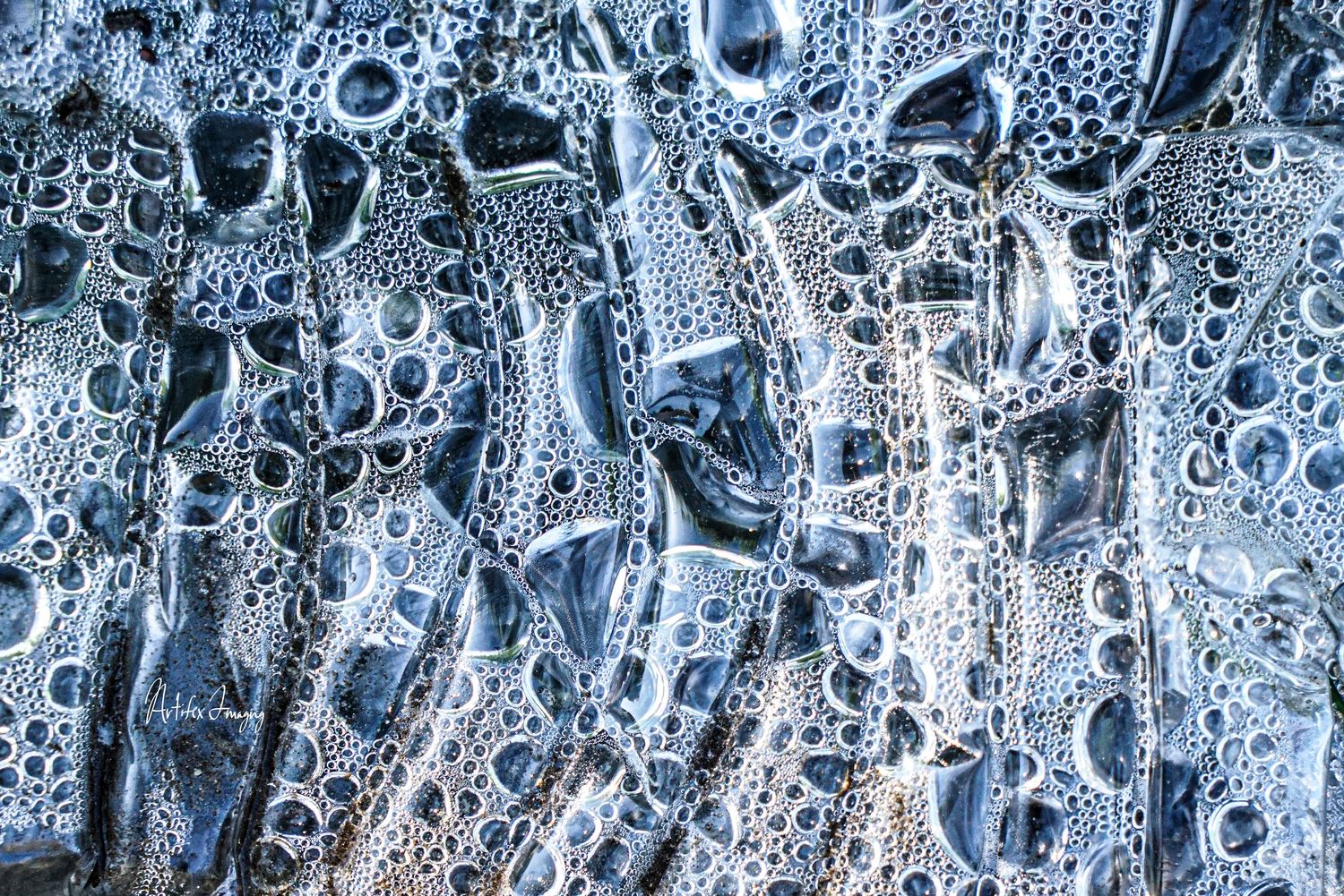 California Love series; image featuring condensation in a discarded water bottle taken by Artifex Imaging in Bakersfield, CA.