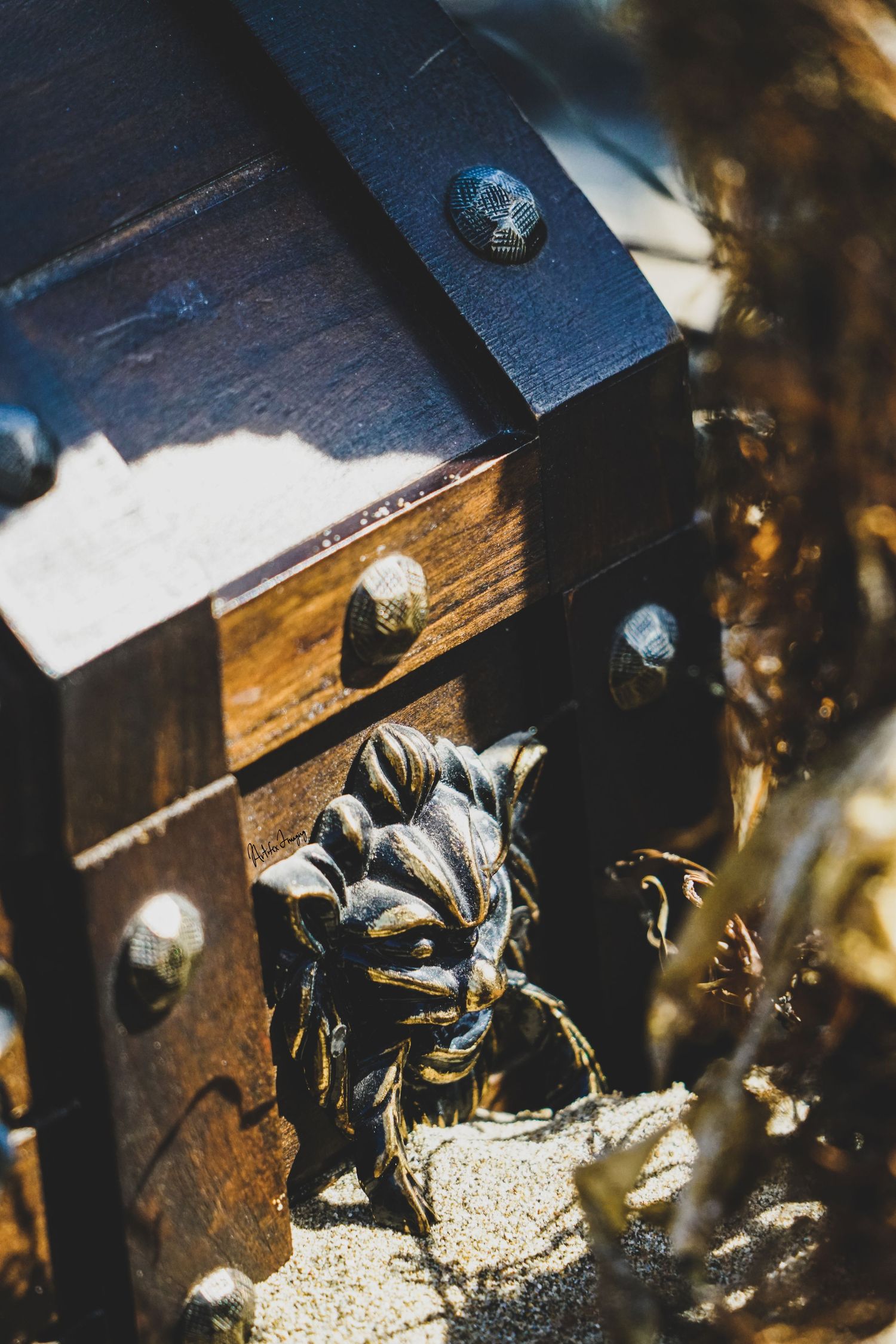 A hidden treasure chest half-buried in sand taken by Artifex Imaging in Bakersfield, CA.