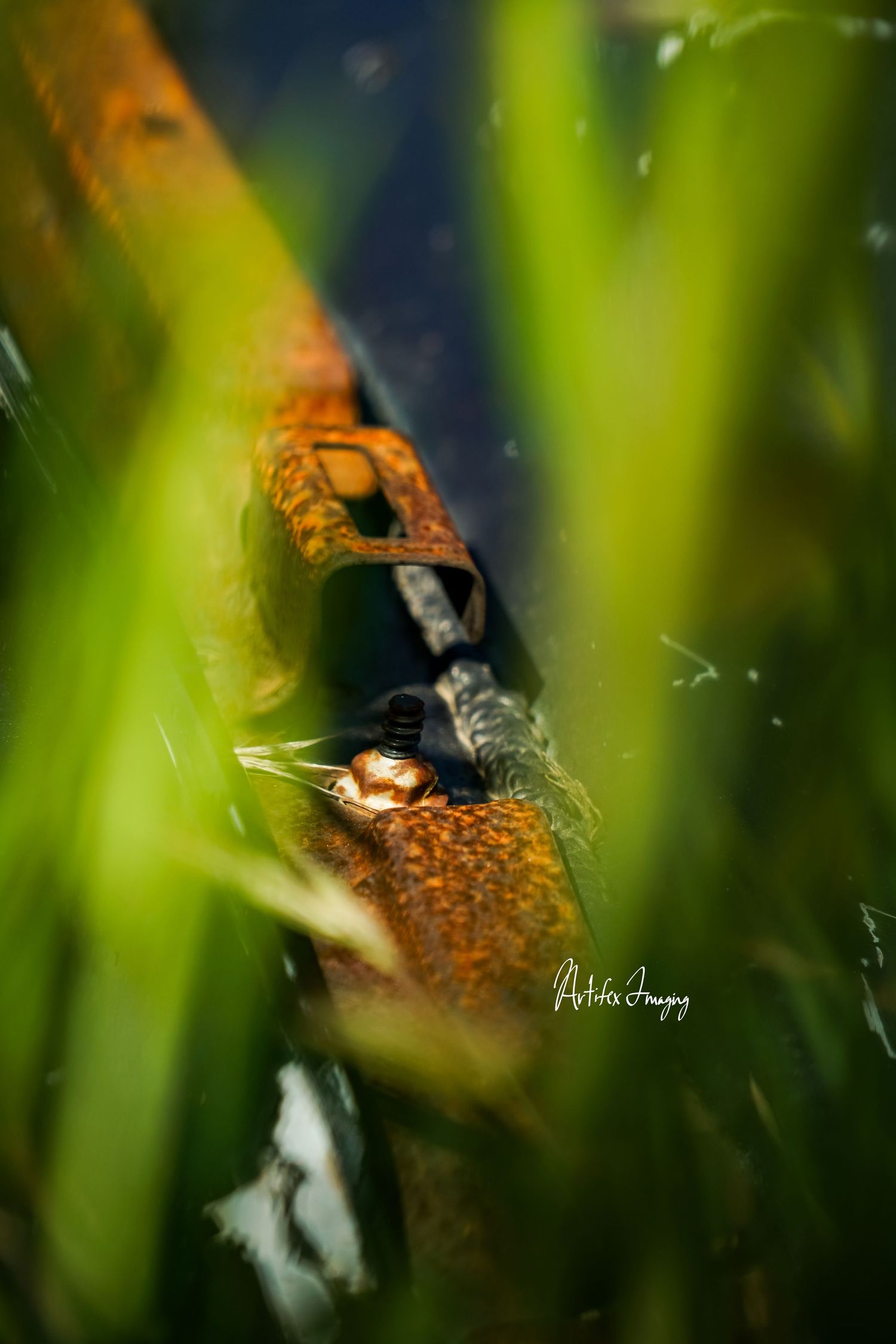 California Love series; image featuring metal scraps being overgrown with grass taken by Artifex Imaging in Bakersfield, CA.