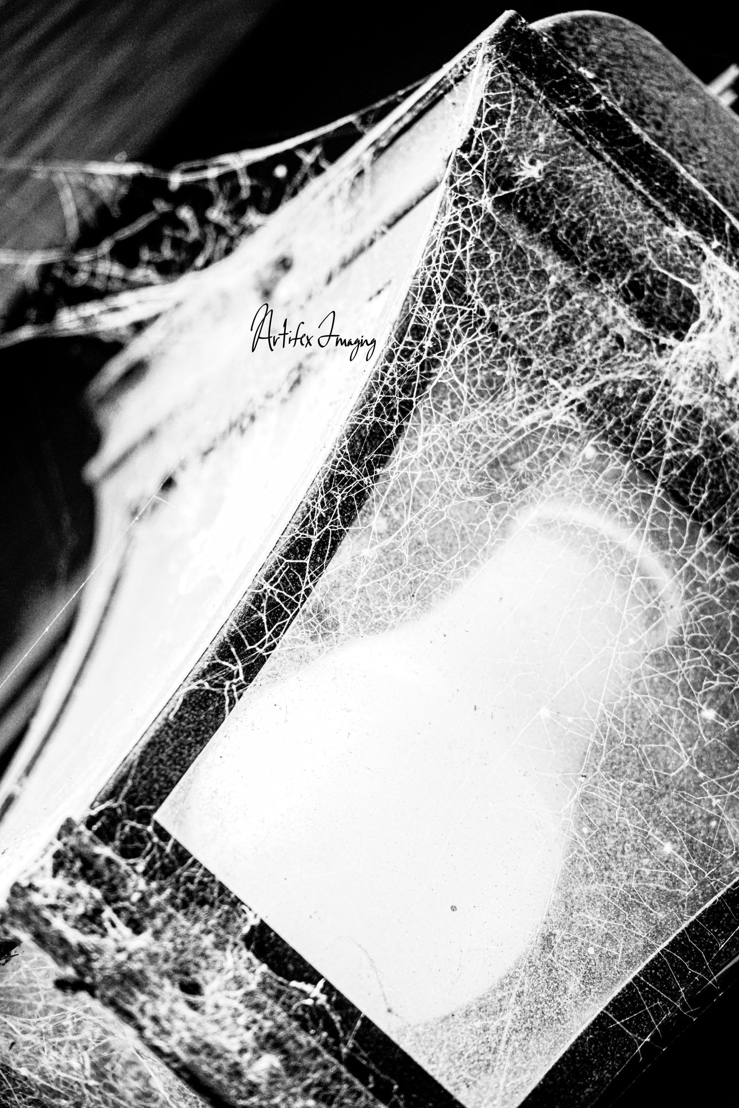 Black and white image of spiderwebs overtaking a light taken by Artifex Imaging in Bakersfield, CA.