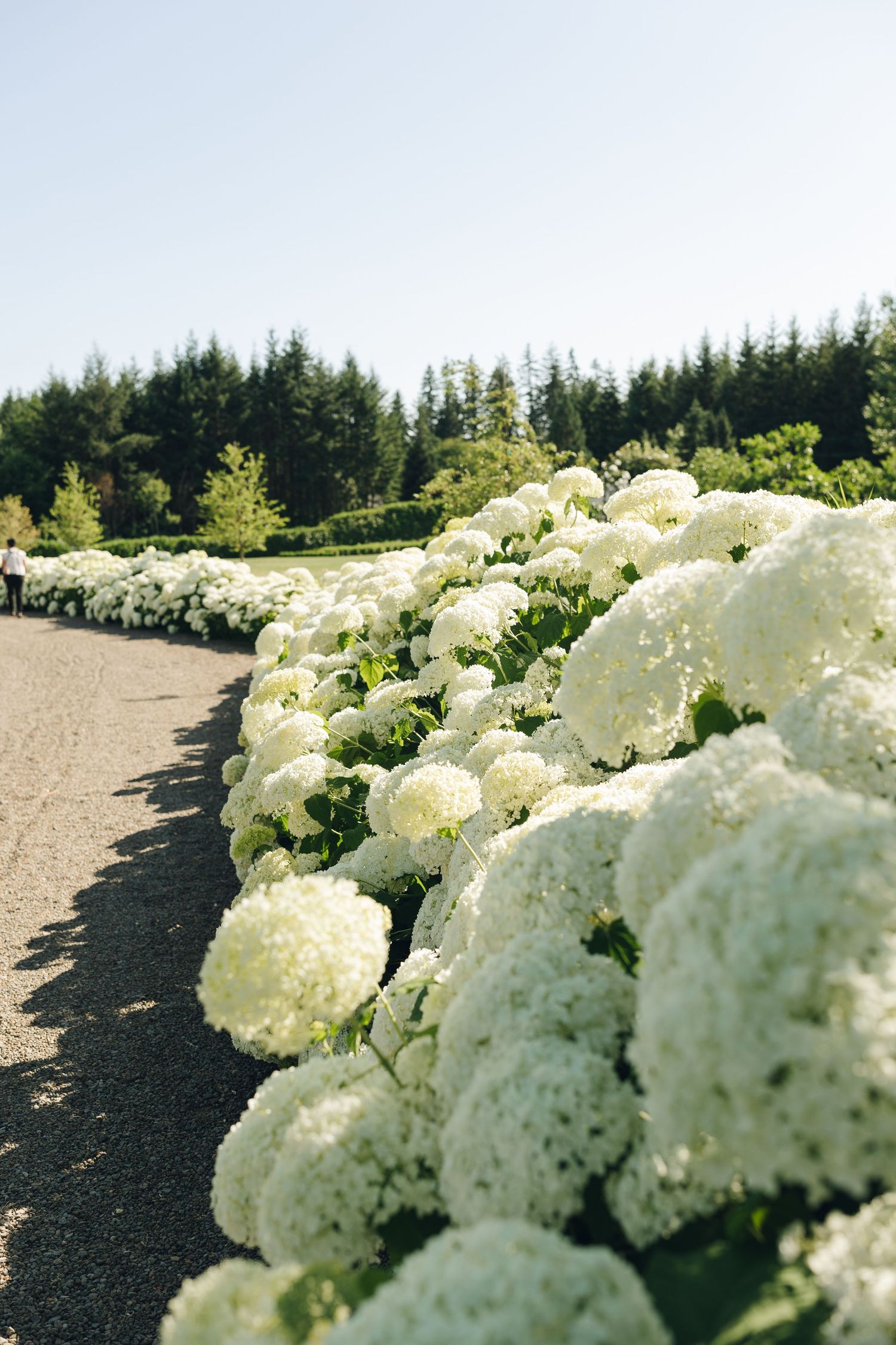 Luxury Wedding Photography Blending Film and Digital by Britt Egan Photography in the PNW and California – Honest, Romantic Editorial