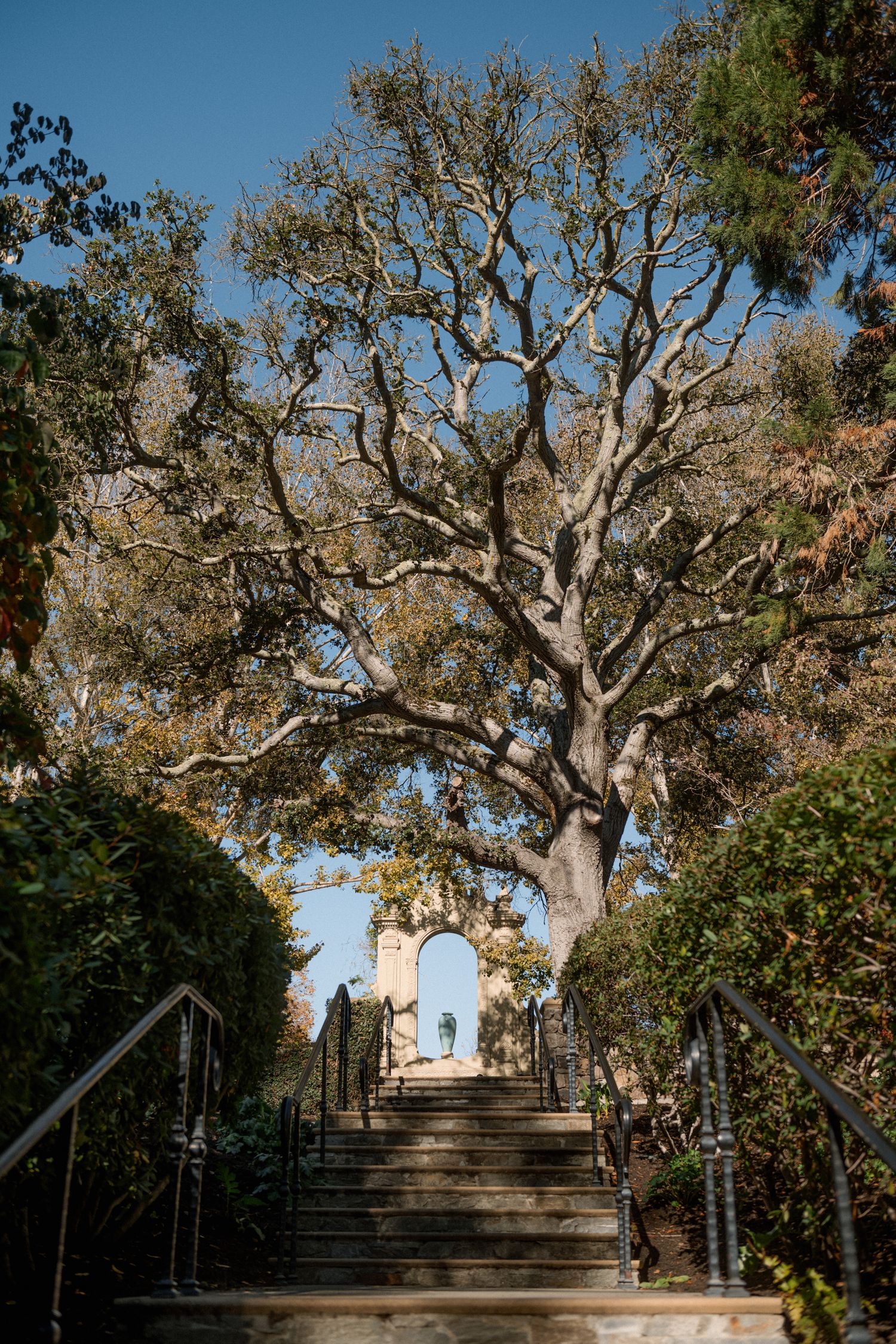 Stone steps leading up through a wooded path with large oak trees creating a natural archway.