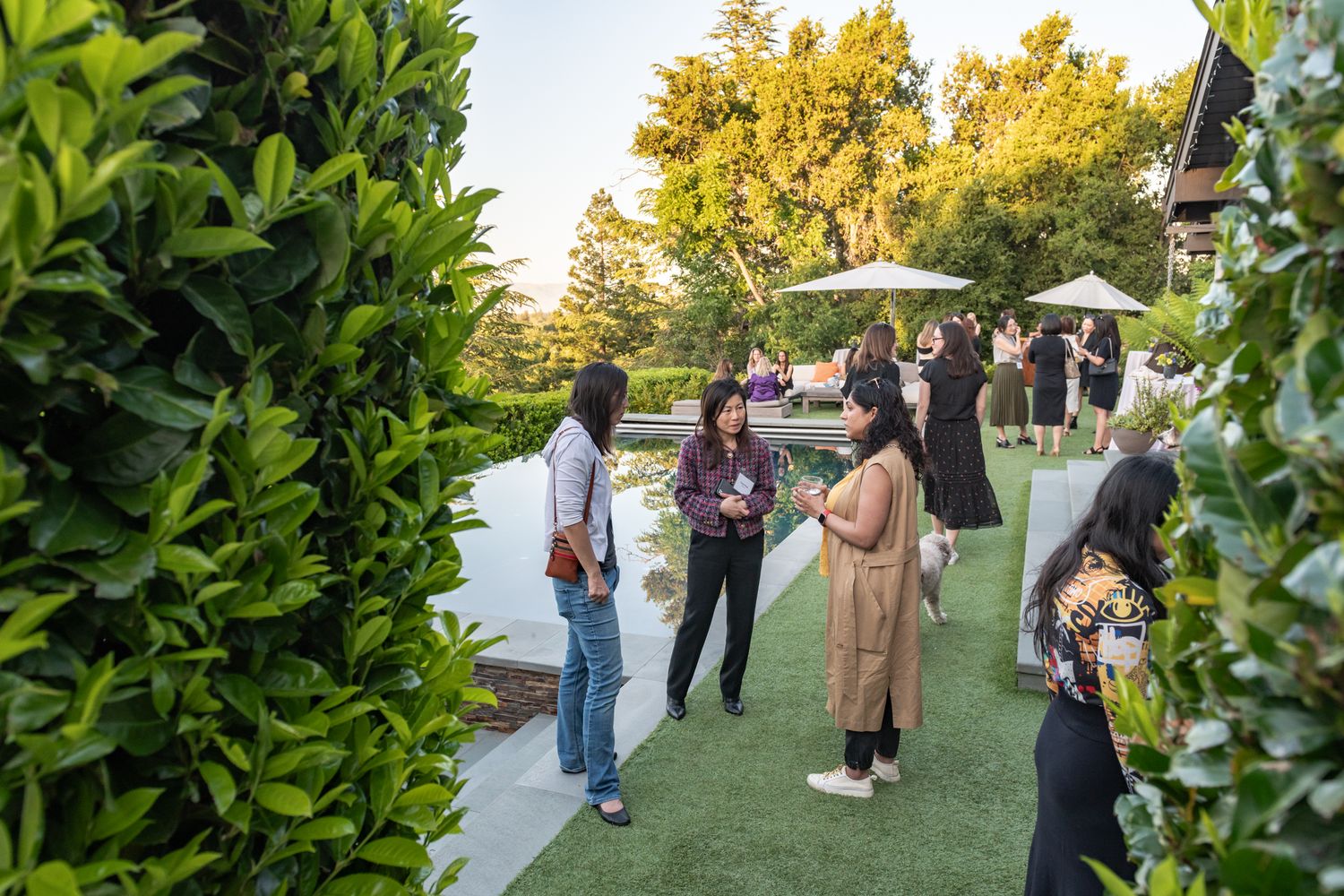 A group of people gather outdoors on artificial turf at sunset, with green hedges and trees in the background.