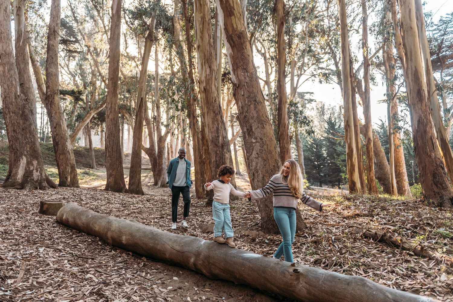 A family of three walks through a eucalyptus grove trail in the woods at San Francisco Lover's Lane. Bay Area family photographer.
