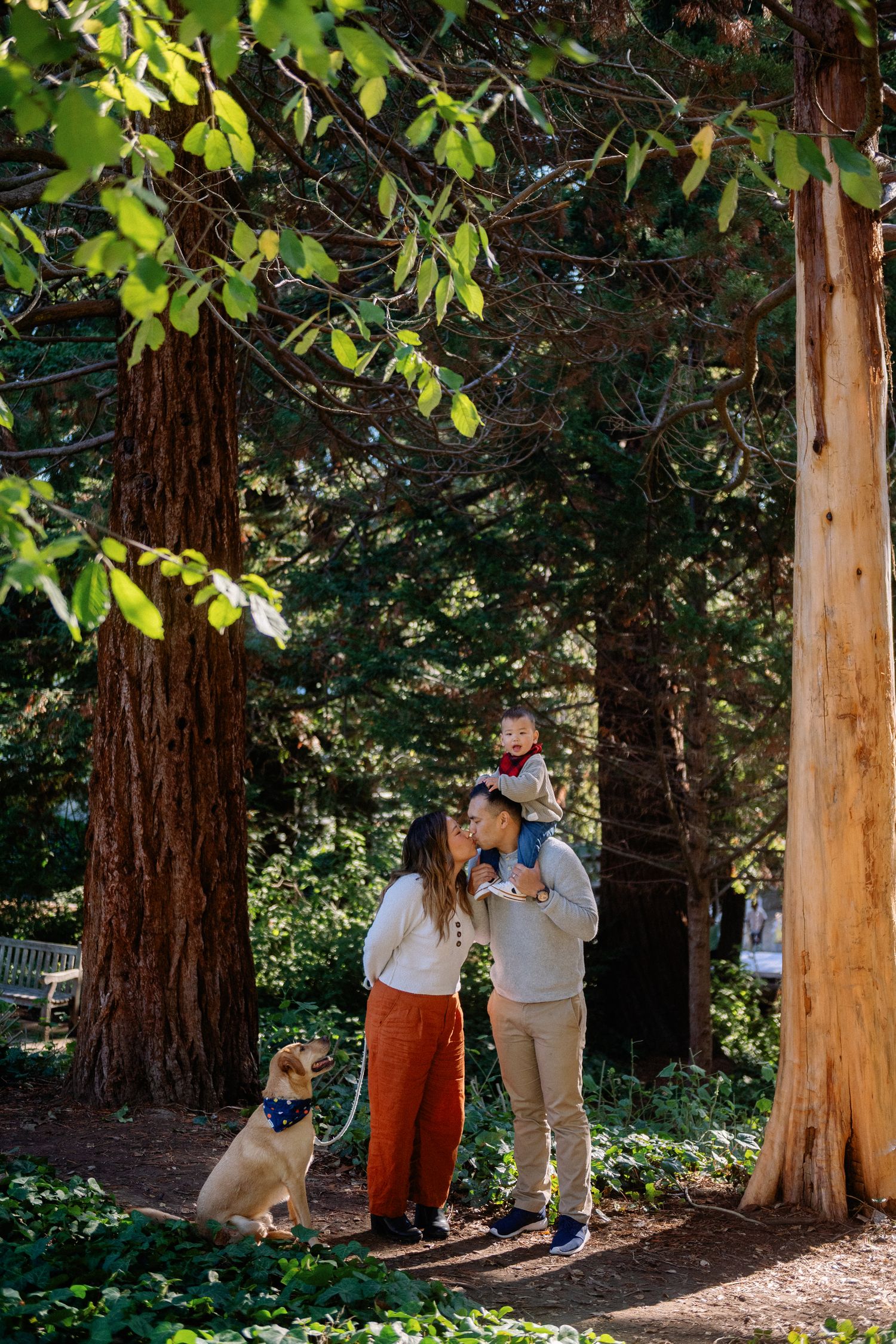 Family or three with dog posing under redwood trees at Piedmont Park in Oakland. Bay Area family photographer.