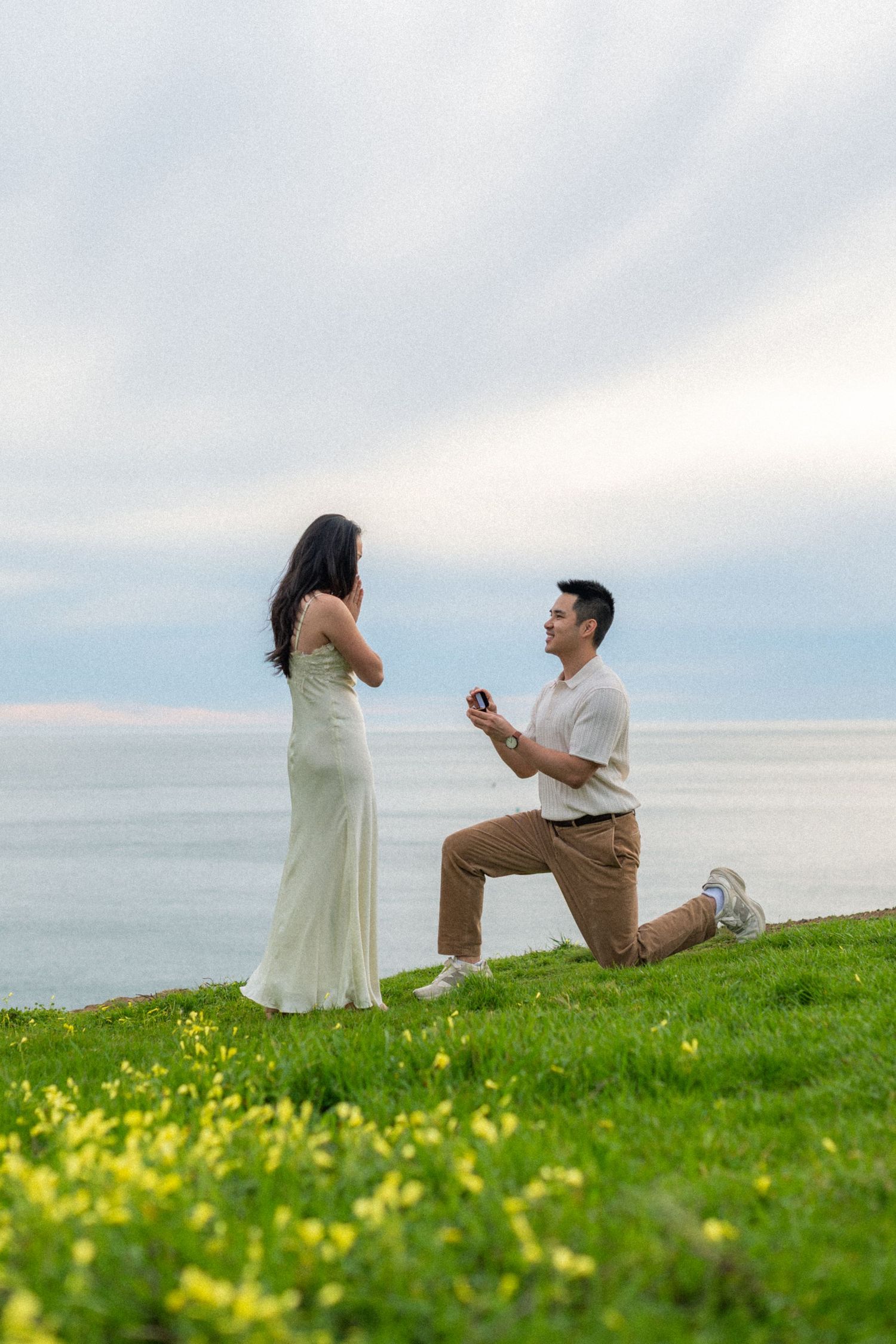 A romantic marriage proposal scene unfolds on a grassy hilltop overlooking the ocean with yellow wildflowers in bloom.