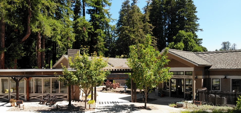 Rustic wooden buildings surrounded by tall redwood trees in a serene outdoor campus setting with picnic tables and lush greenery.