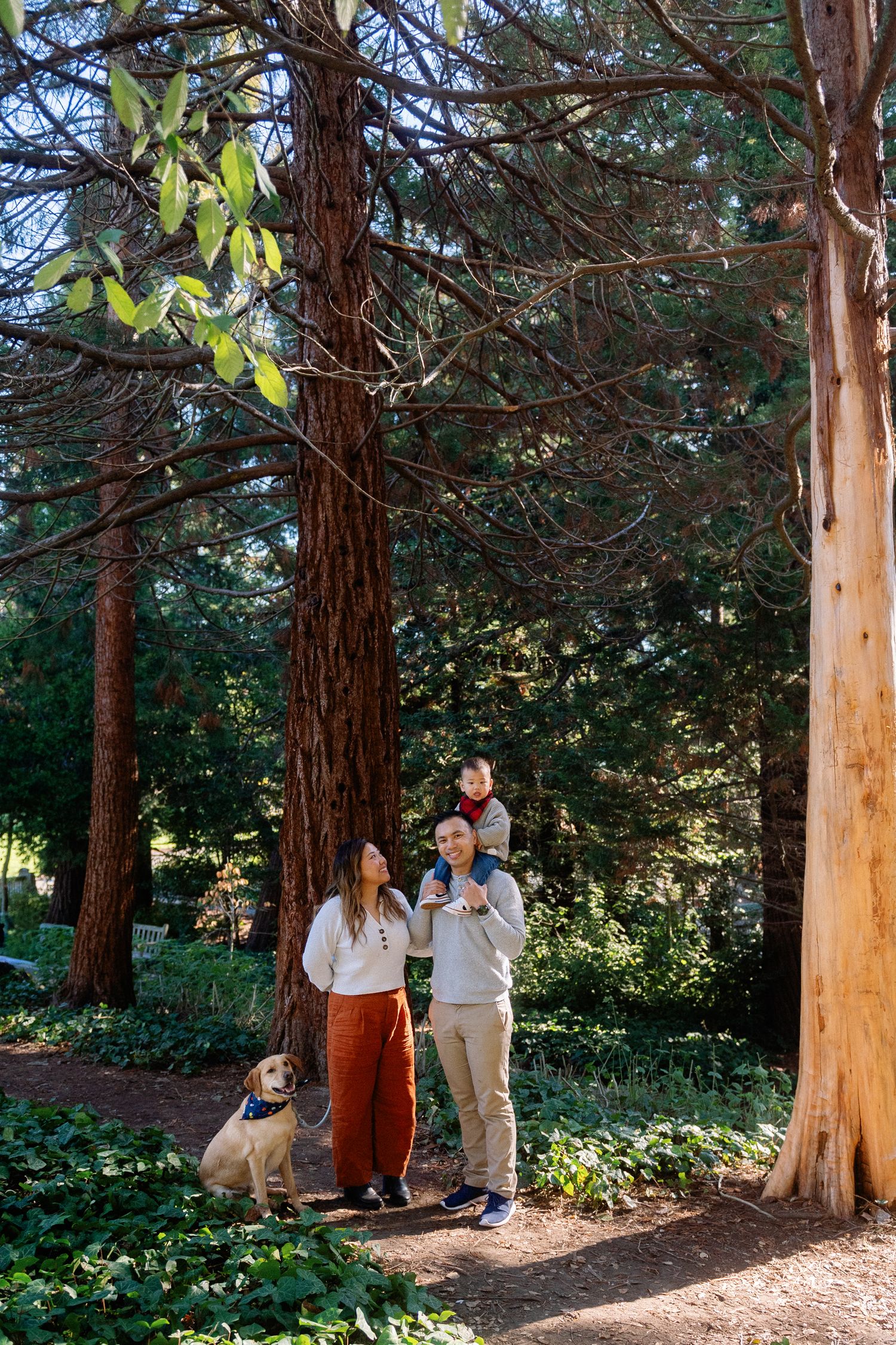 Casual outdoor family photoshoot among tall eucalyptus trees in a wooded park setting.