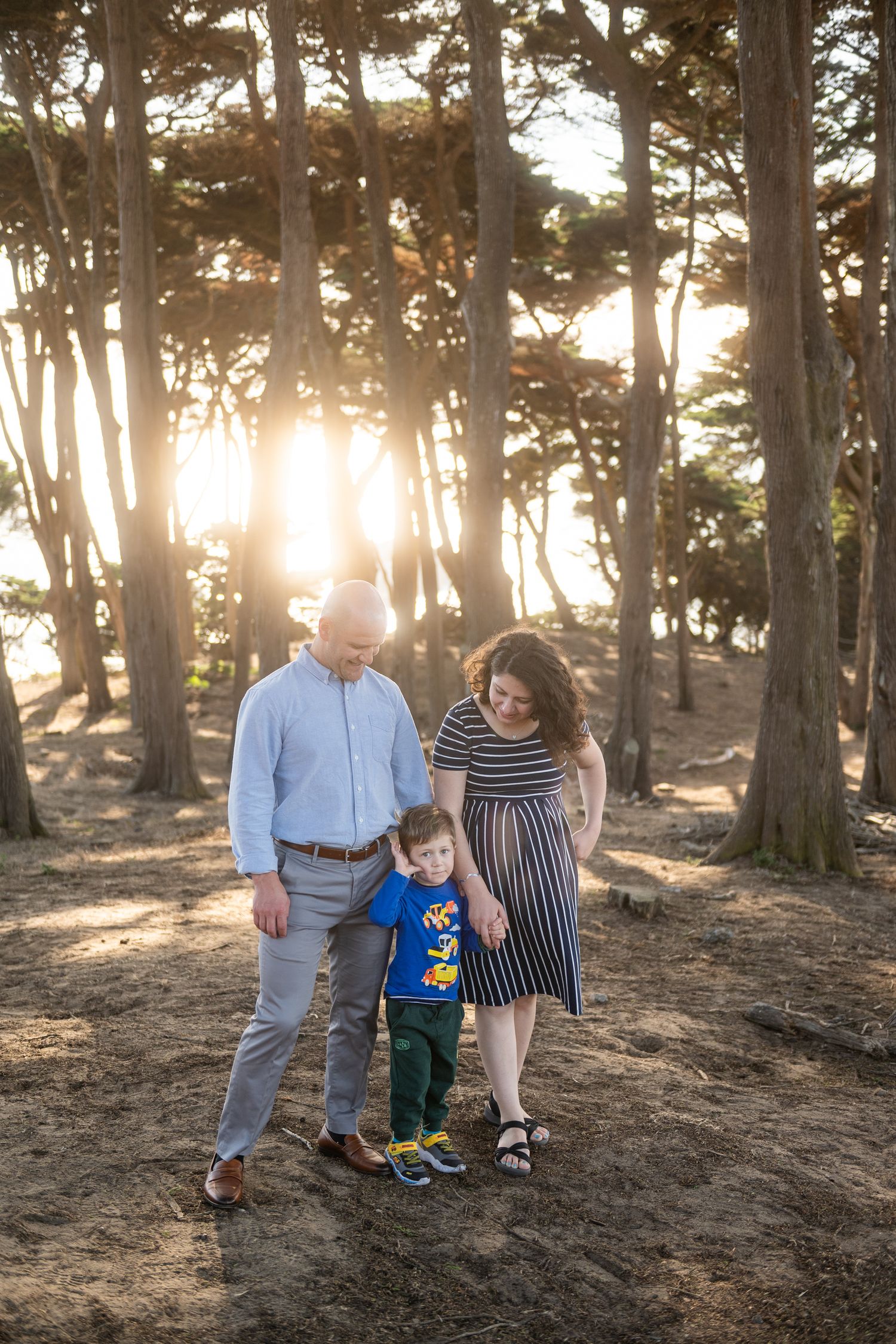 Family walking together through a sunlit grove of tall trees at sunset.