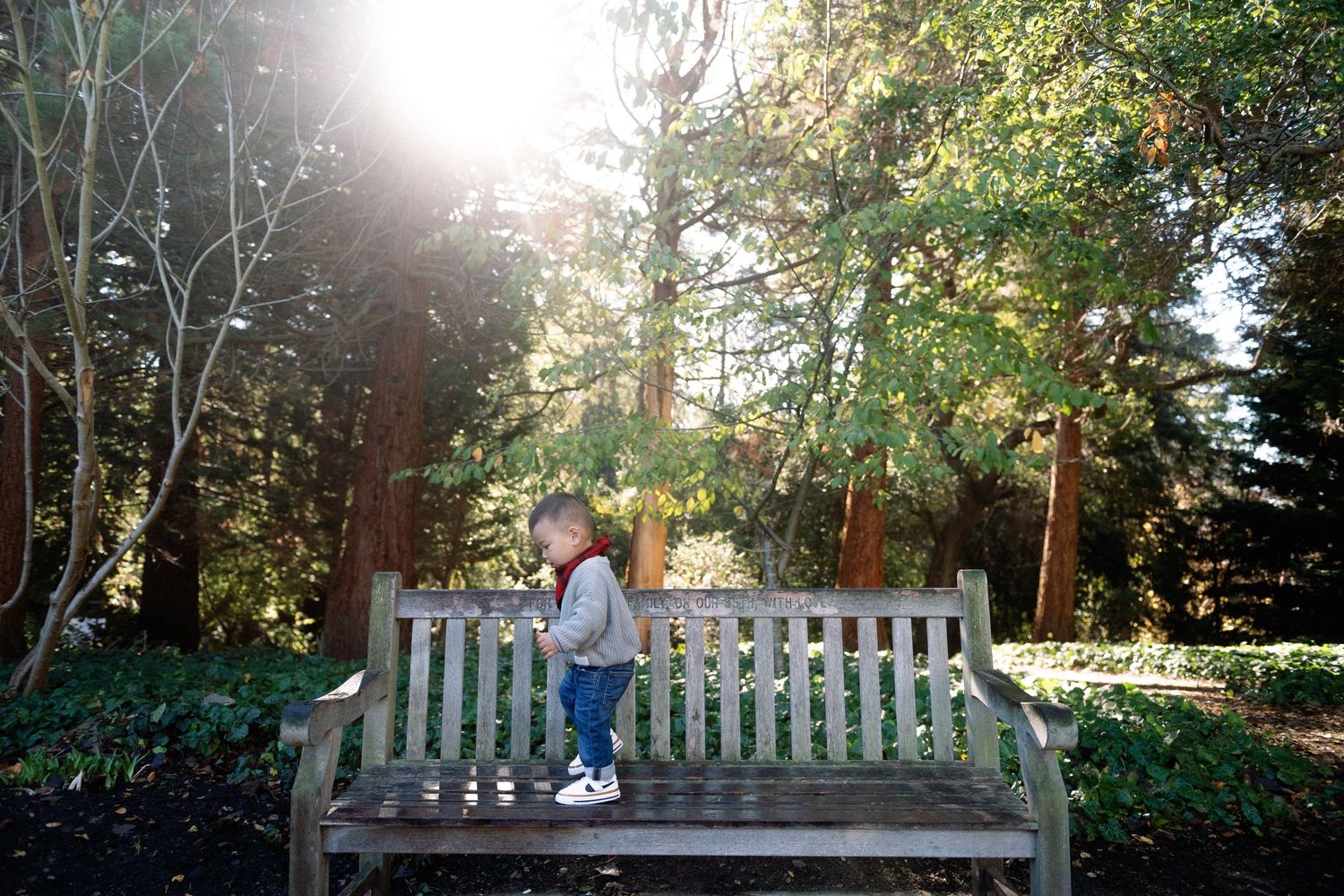 Young toddler standing on a wooden park bench surrounded by tall trees with sunlight filtering through.