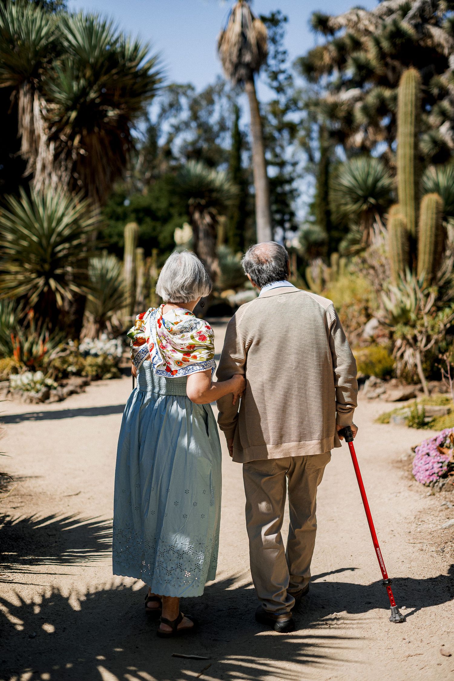 Elderly couple walking hand-in-arm through a sunny botanical garden with cacti and palm trees, man using a red cane.