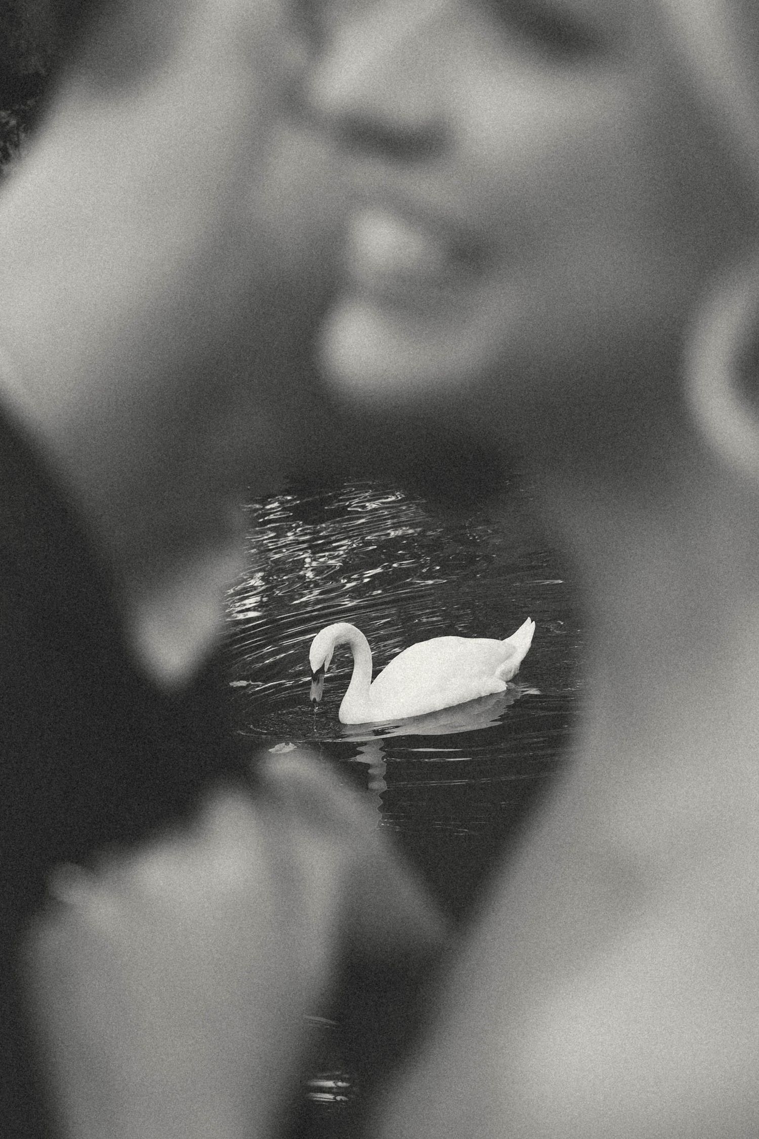 Courtney Mack Photography Missouri Wedding photography