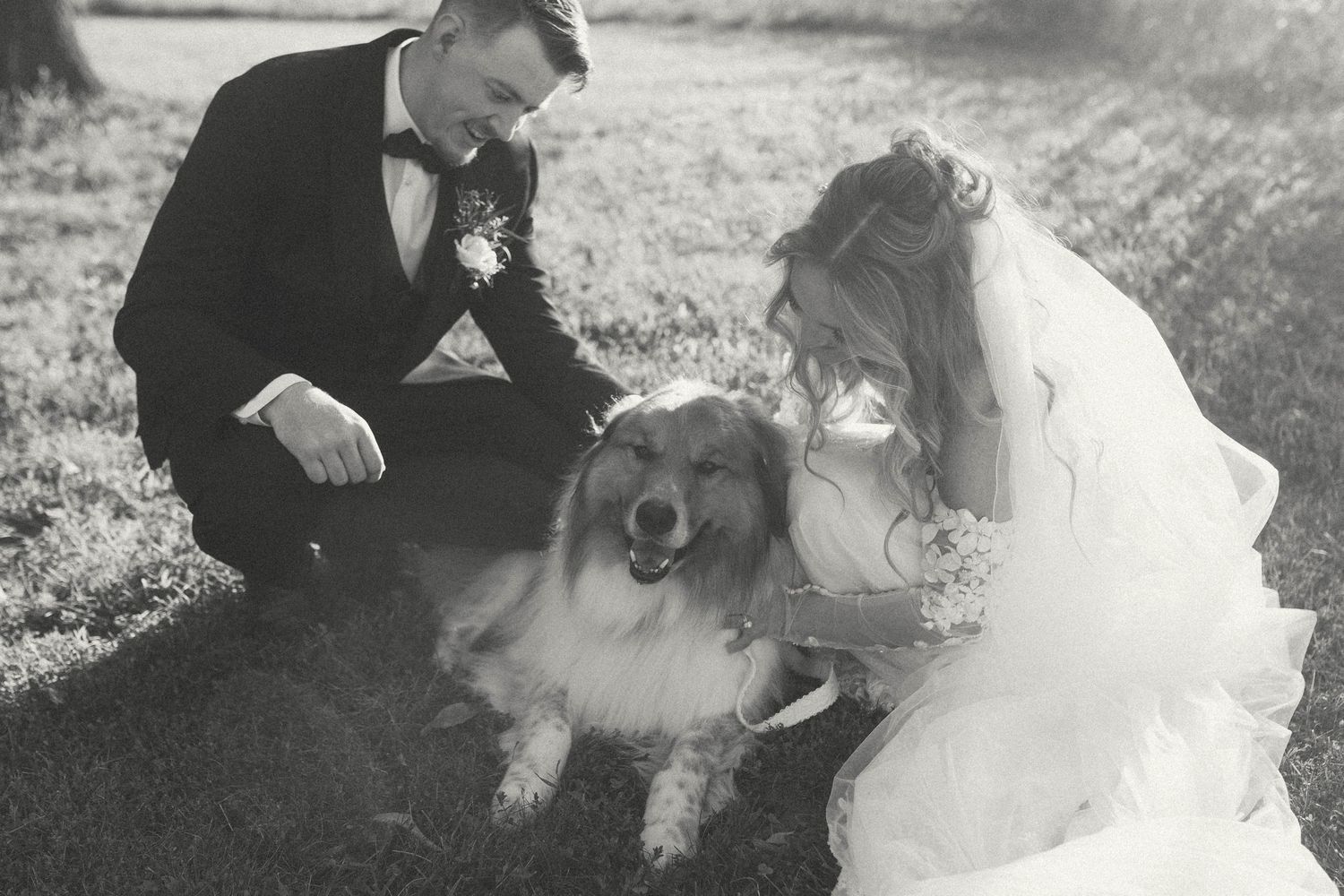 Courtney Mack Photography Wedding, Bride and Groom with dog, Coopers Ridge