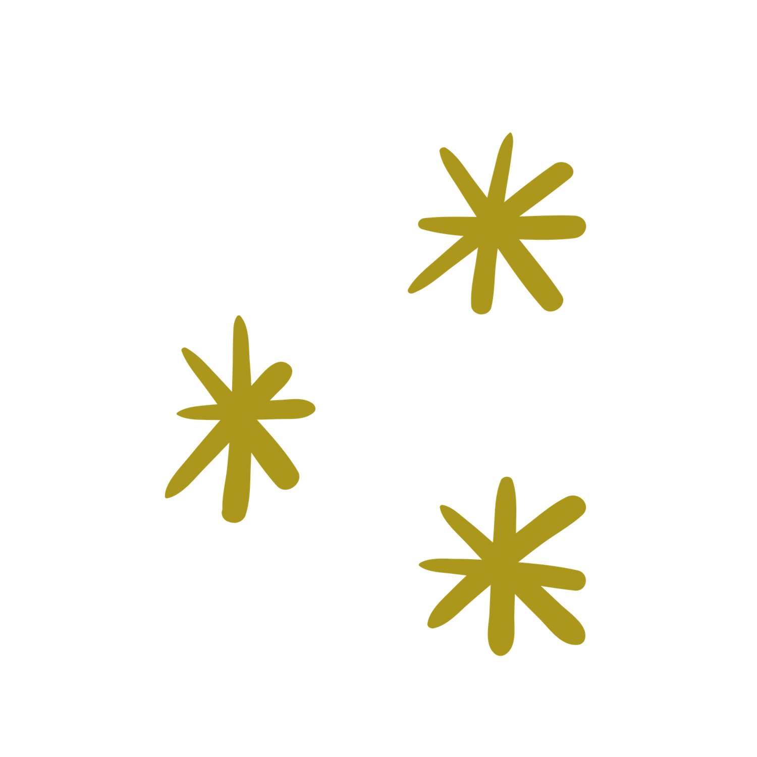 Courtney Mack Branding