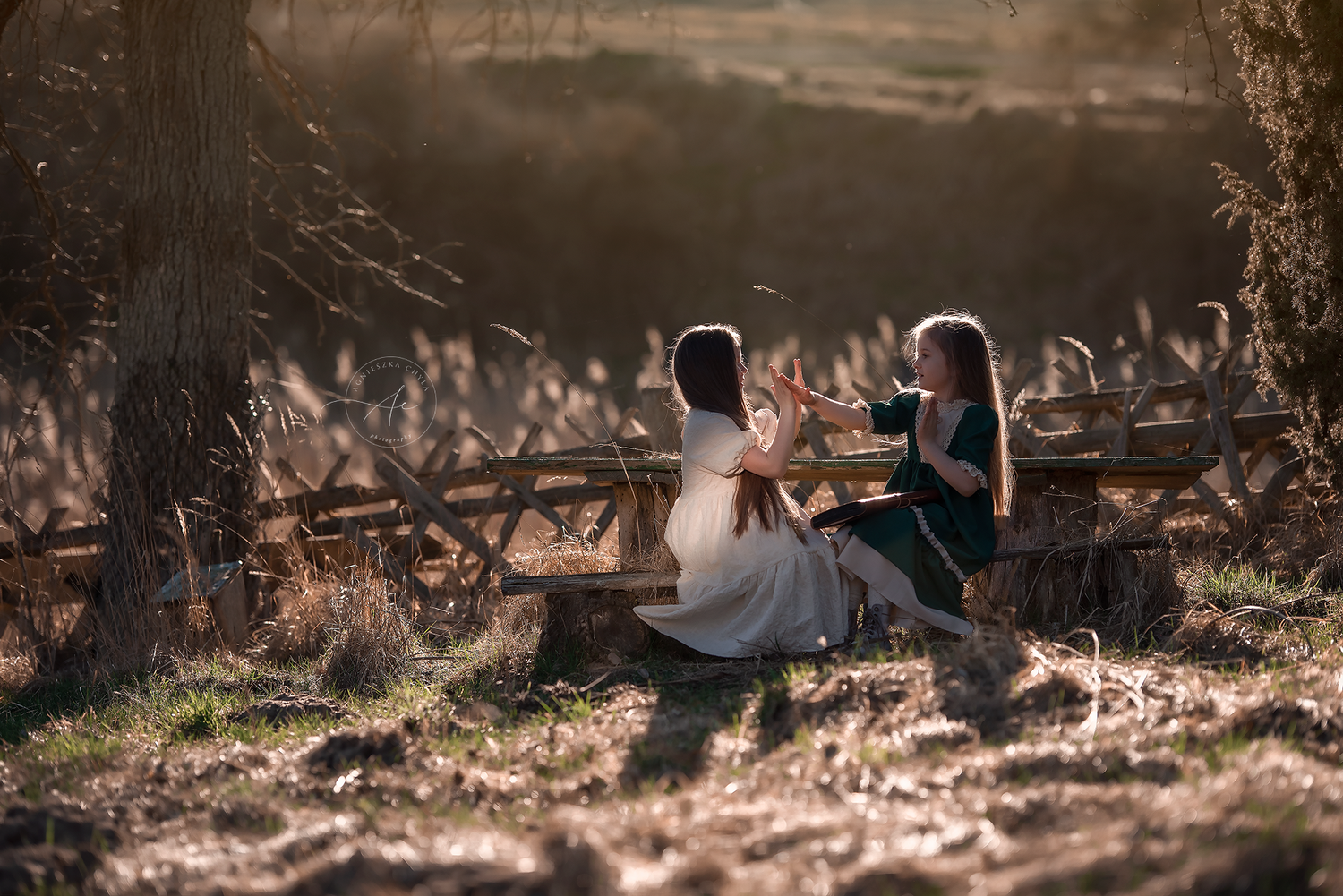 Two girls sit on a wooden bench in a sunlit autumn field, sharing a quiet moment together. Kids photography session Mississauga