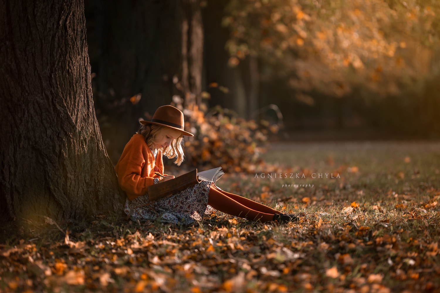 Child in orange jacket and hat reading a book under a tree in autumn leaves. Outdoor photography Cambridge