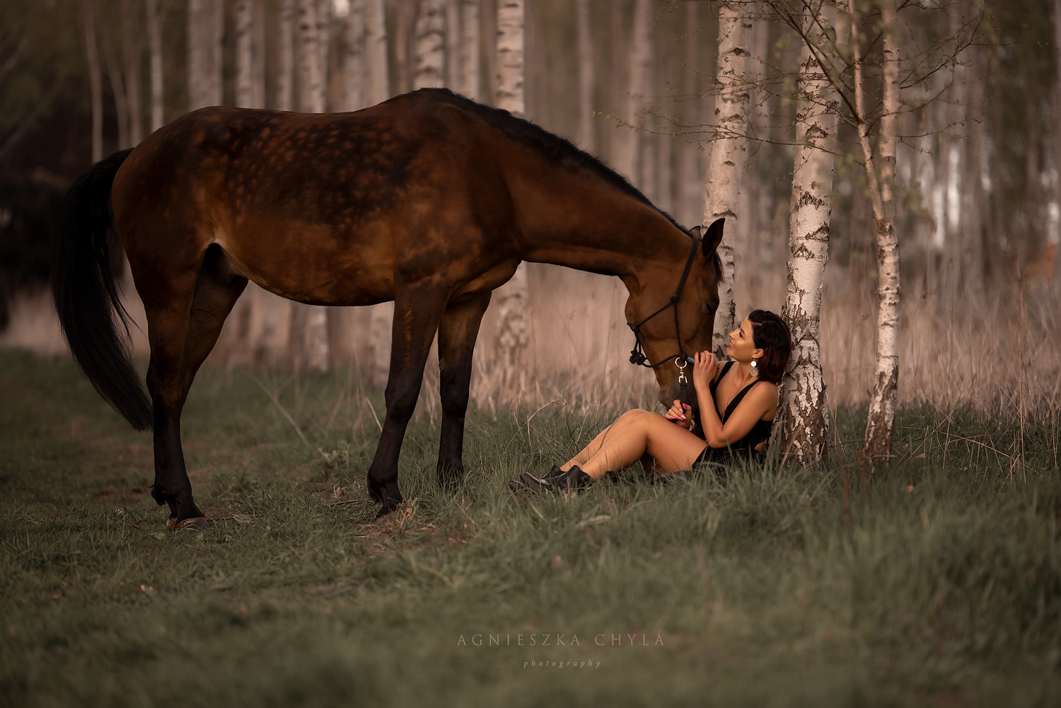 Young woman sitting against birch tree sharing a tender moment with a dark brown horse in forest. Pet photography session Oakville