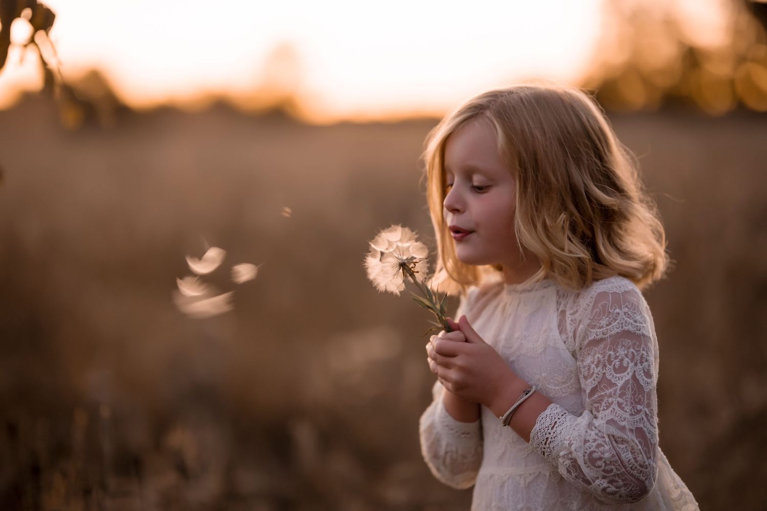 Young girl blowing dandelion seeds in golden sunset field wearing white lace dress.