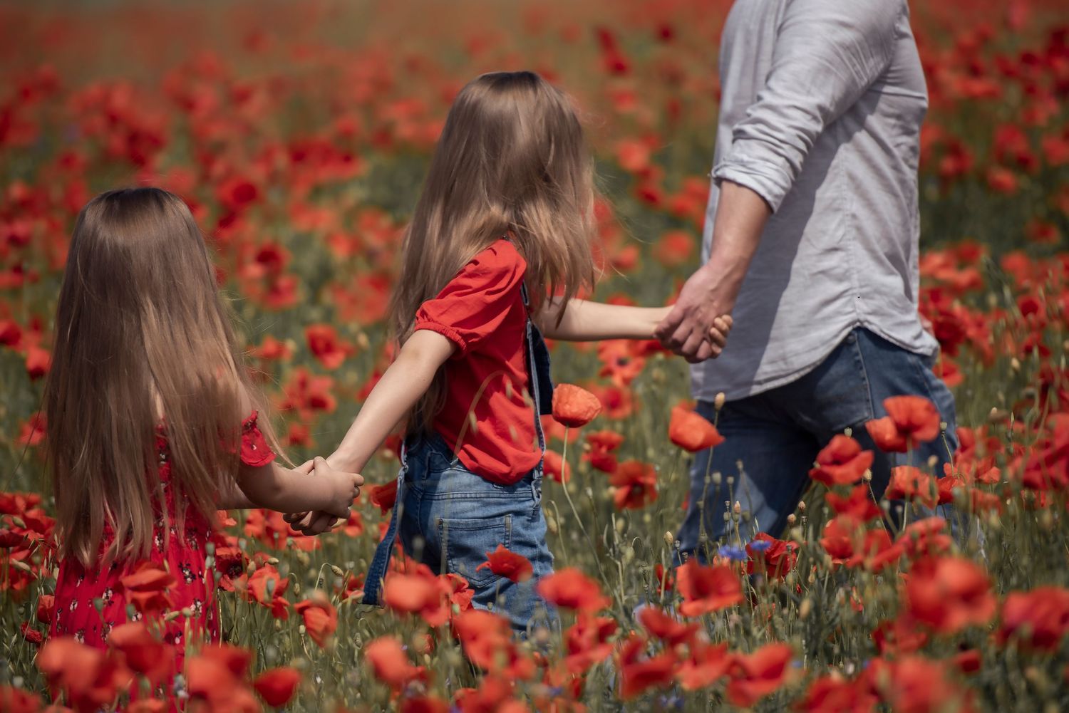 poppy field on a sunny day. outdoor session.
Brampton, Oakville, Cambridge, Etobicoke, Burlington, Mississauga, Georgetown, Halton Hills