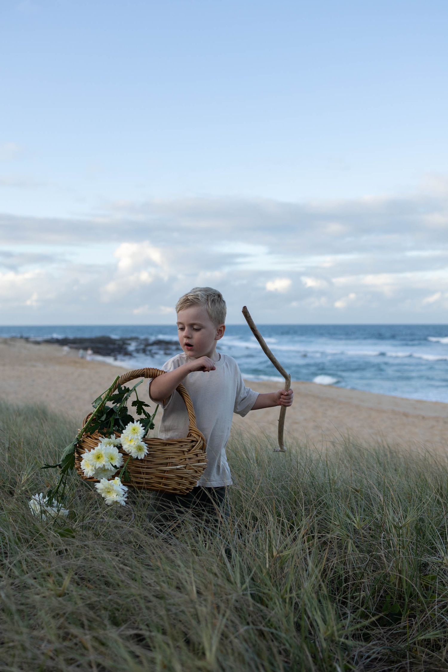 family photographers sunshine coast