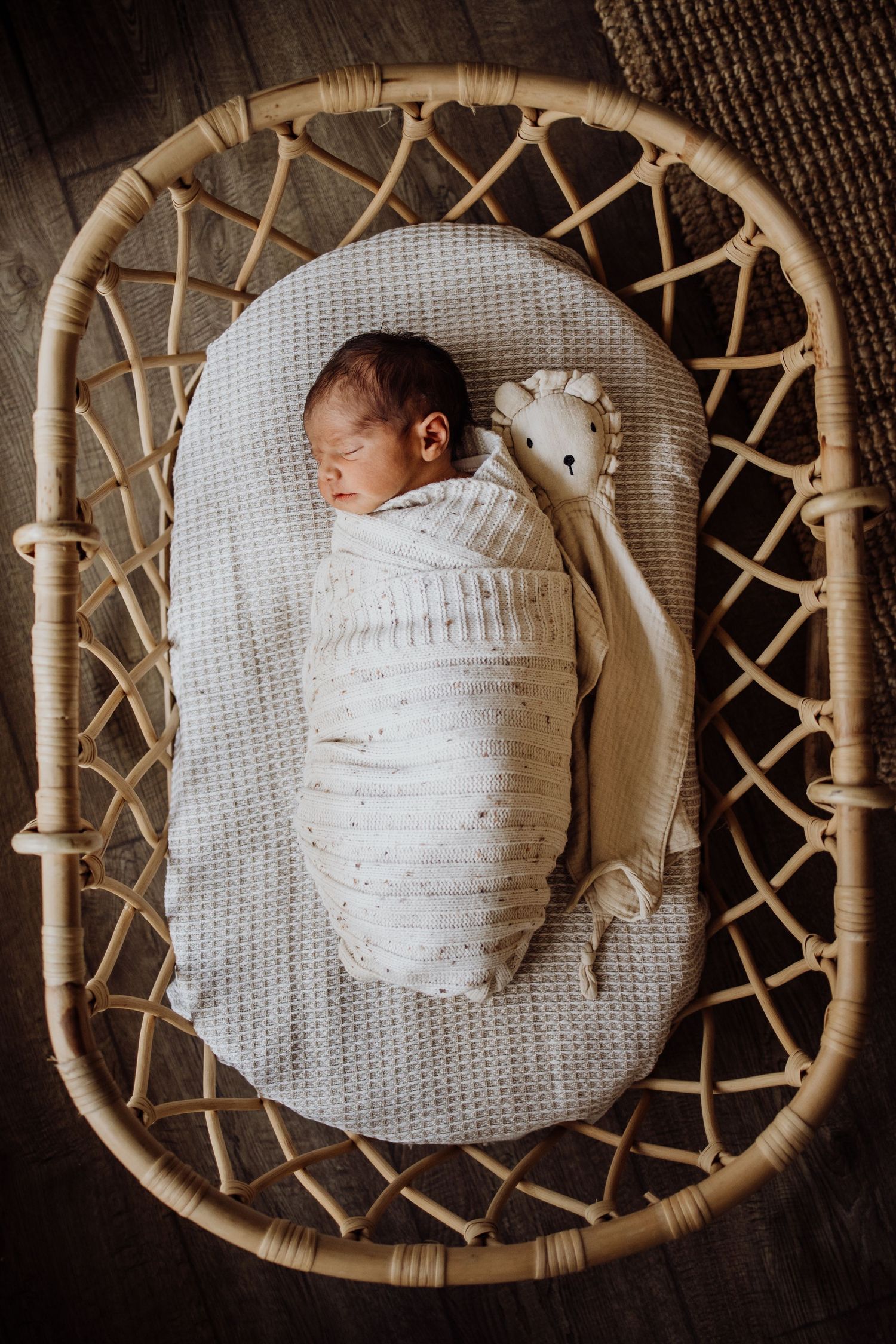 in home fresh 48 newborn photographer