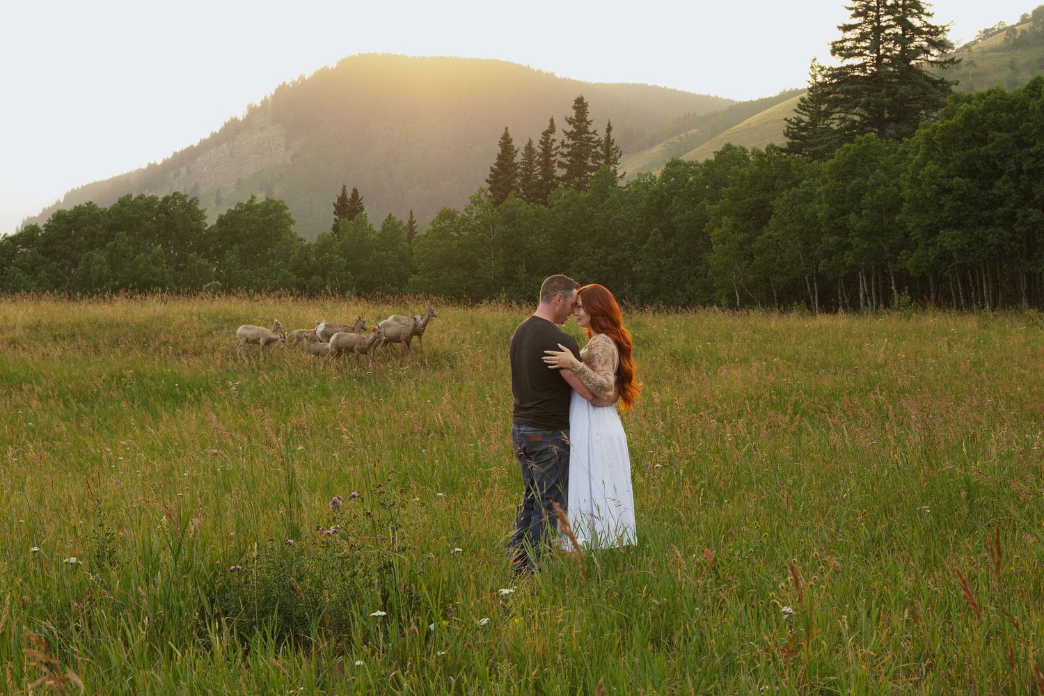 Couple embracing in a sunlit mountain meadow at golden hour, surrounded by green grass and pine trees.