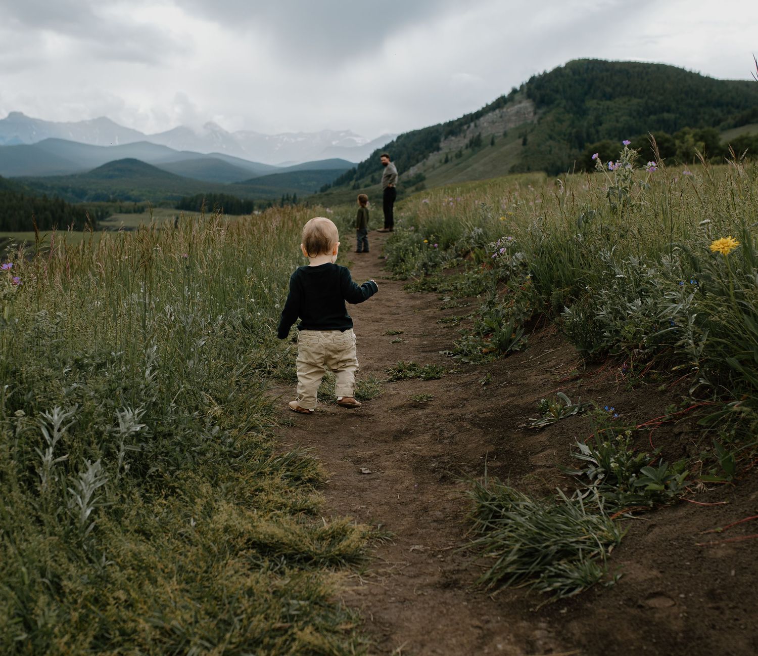 Toddler walking along a dirt trail through a wildflower meadow with mountains in the background.