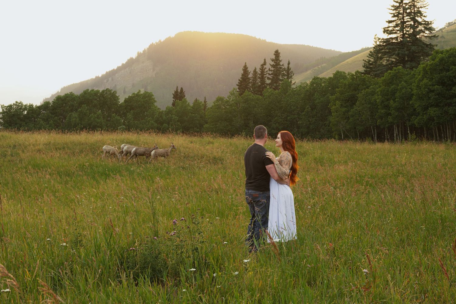Couple embracing in a lush green meadow at golden hour with mountains and trees in the background.