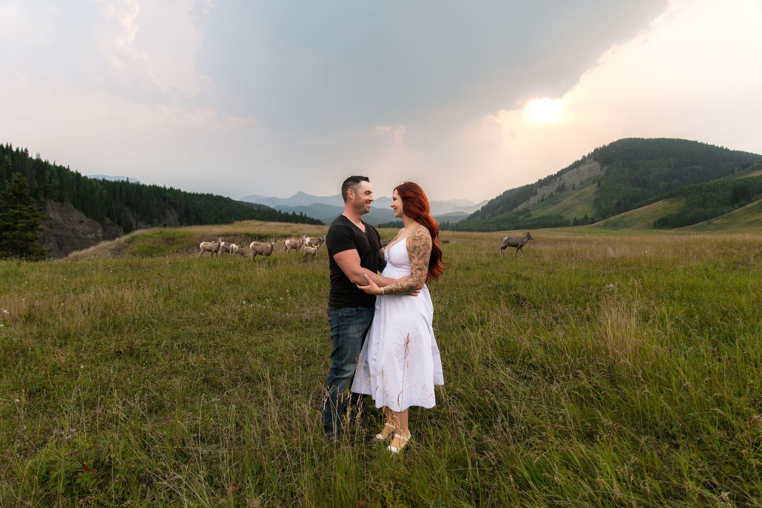 Couple embracing in a lush green mountain meadow with horses grazing and dramatic cloudy sky at sunset.