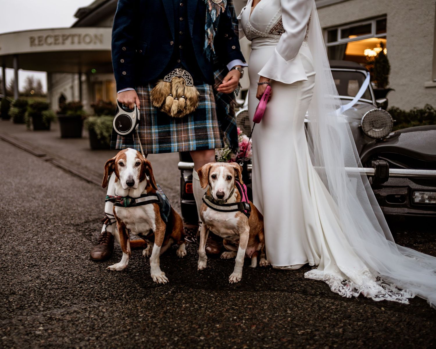 Wedding party with beagle dogs sitting on gravel path outside venue. Drumosie Hotel Inverness Wedding photography