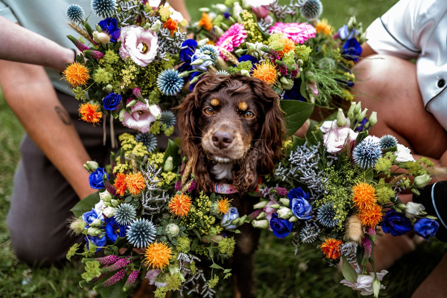 Vibrant wedding bouquet featuring blue and orange wildflowers with natural greenery.