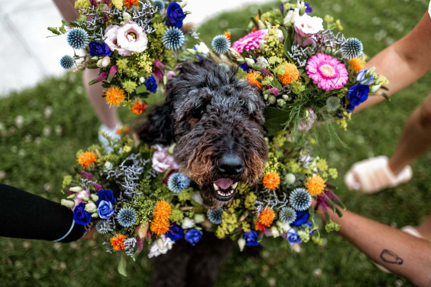Close-up details of colorful wedding bouquets with blue thistles and orange flowers.