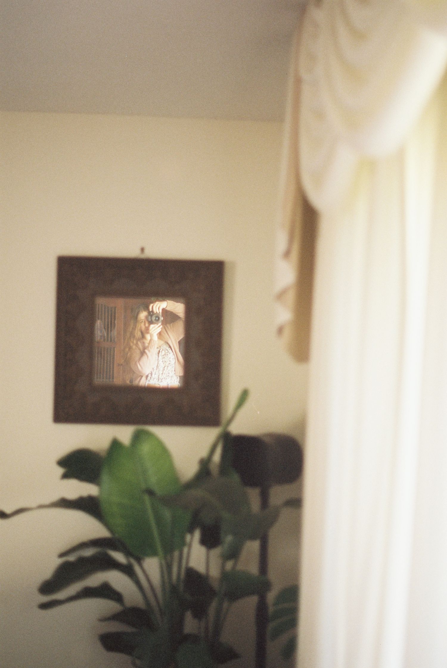 Softly lit room with a mirror and a person taking a mirror portrait beside a tropical plant and curtain on 35mm film in Minnesota.