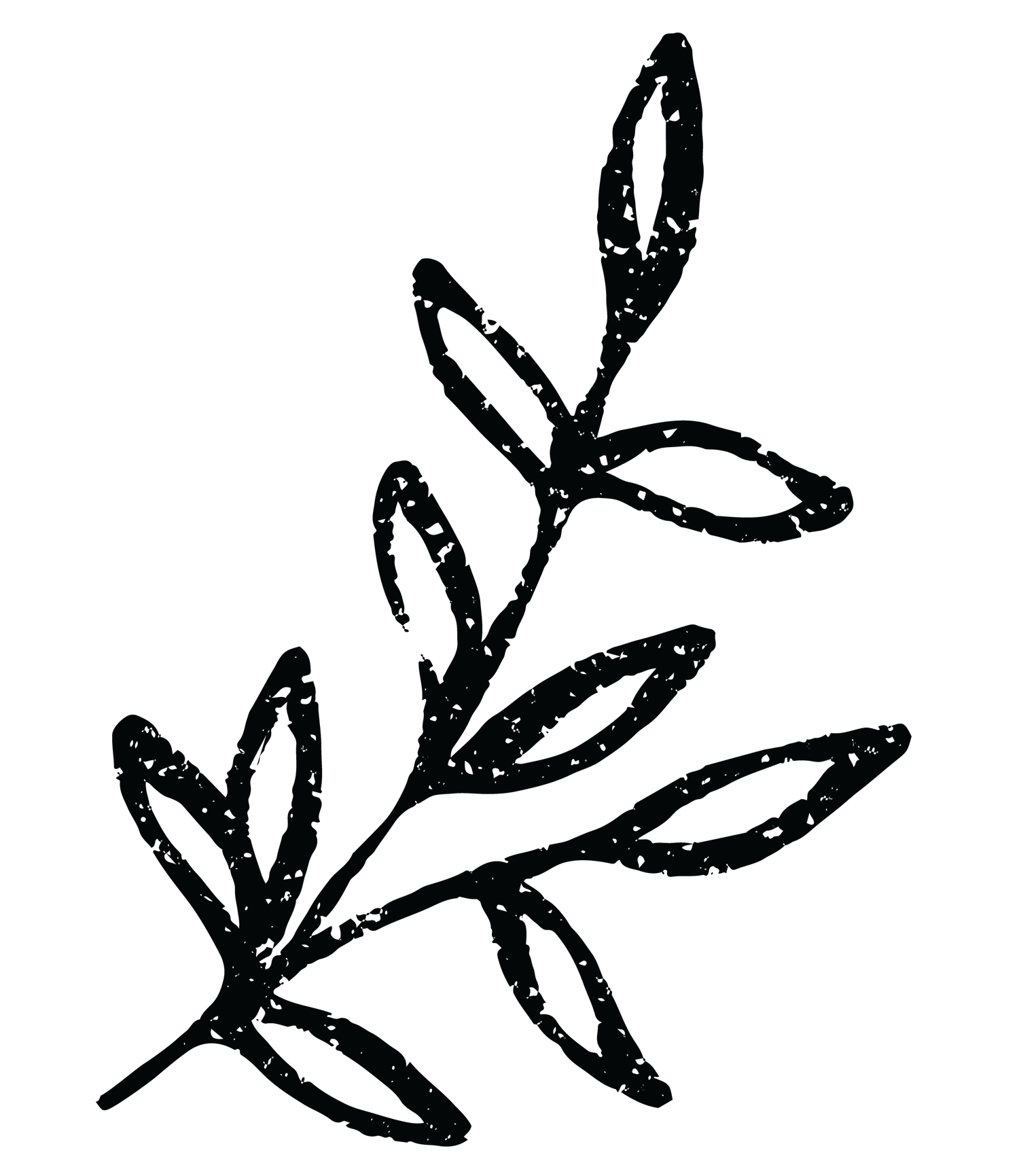 Black and white distressed stamp illustration of a delicate botanical branch with oval leaves.