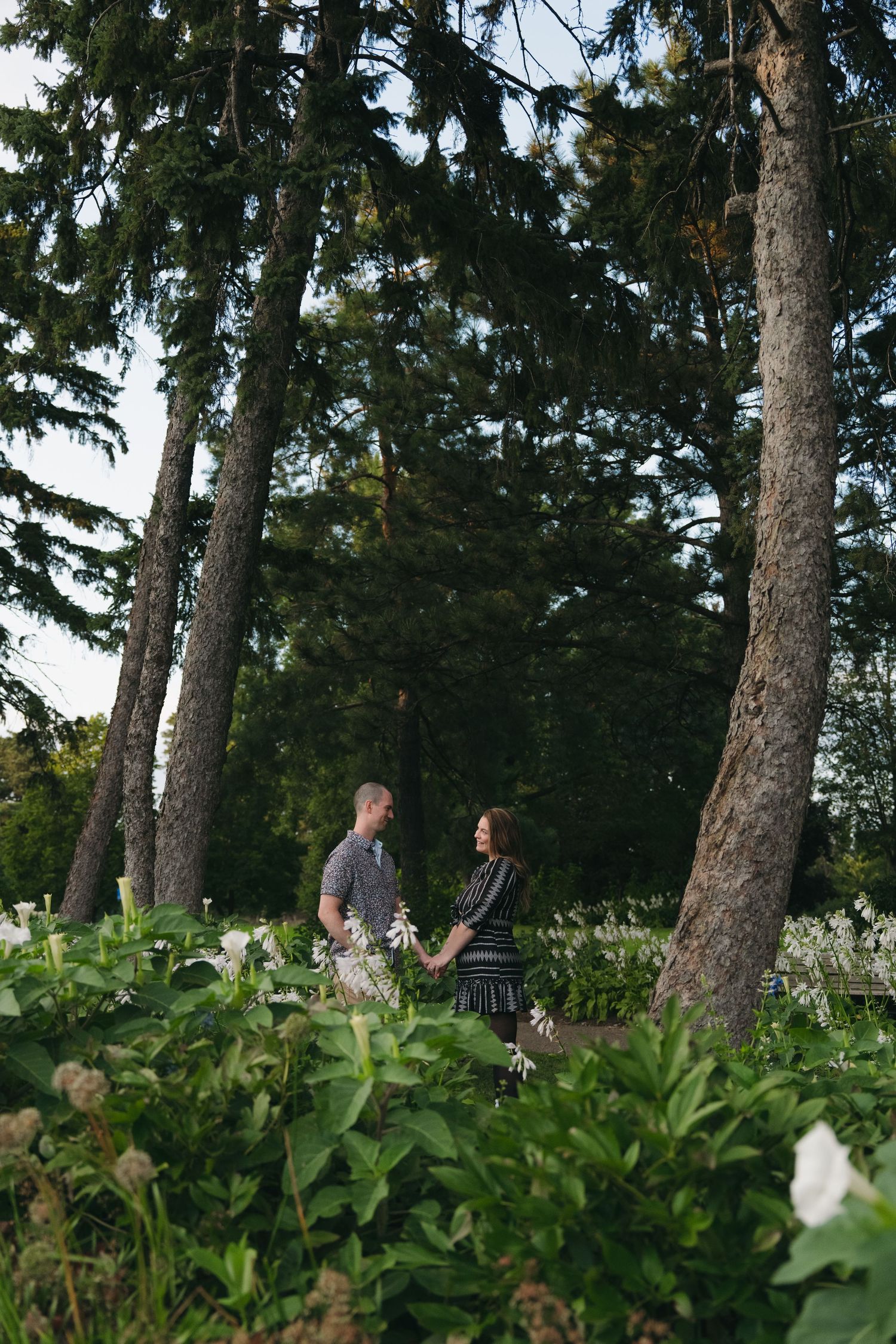 Couple holds hands among tall pine trees and white wildflowers in a lush green garden setting at Como Conservatory in Minnesota.