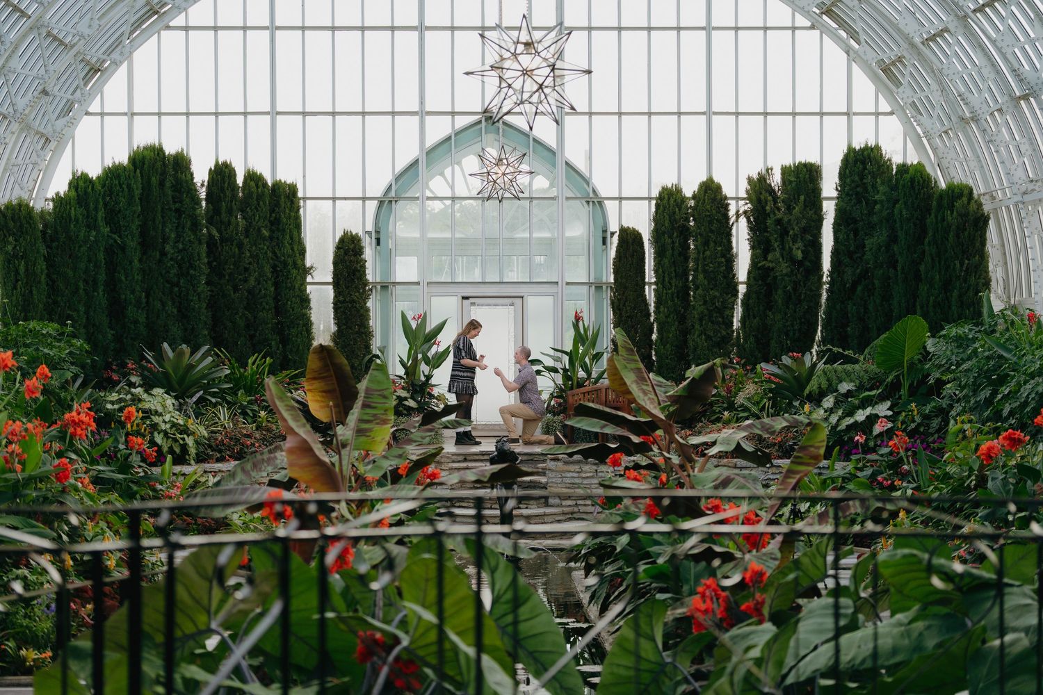 Couple shares a romantic engagement proposal inside a greenhouse with tropical plants and a star ornament at Como Conservatory in Minnesota.