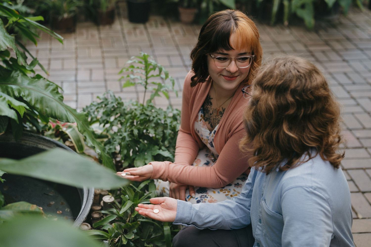 A couple examining tropical plants together in a lush indoor greenhouse at the Minnesota Landscape Arboretum.
