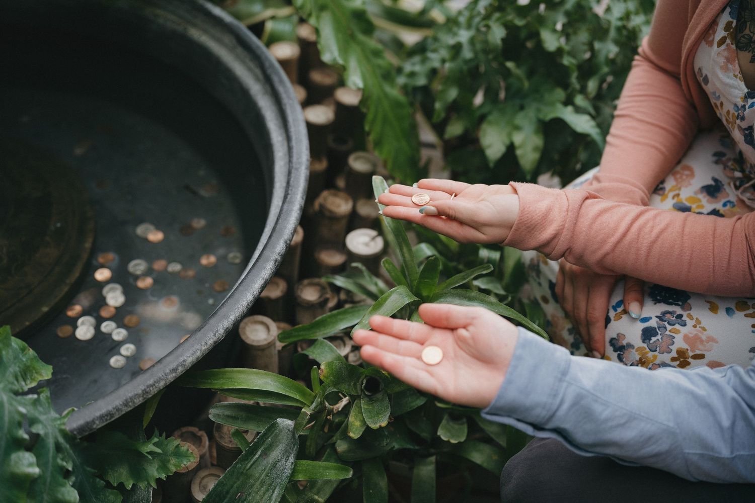 Two people holding coins over lush green plants beside a decorative water basin outdoors at the Minnesota Landscape Arboretum.