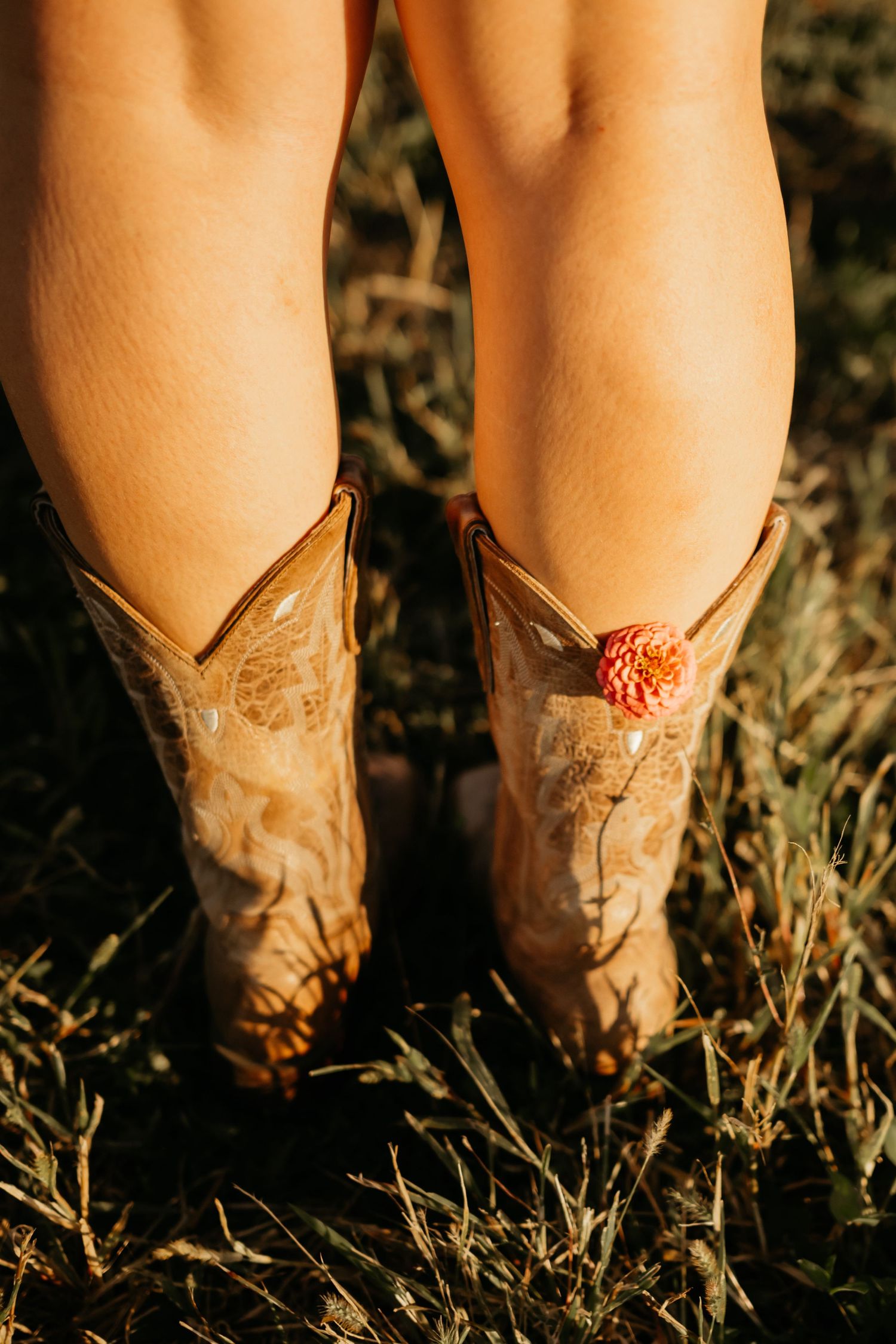 Close-up of tan cowboy boots with a small orange flower tucked inside, standing in grass.