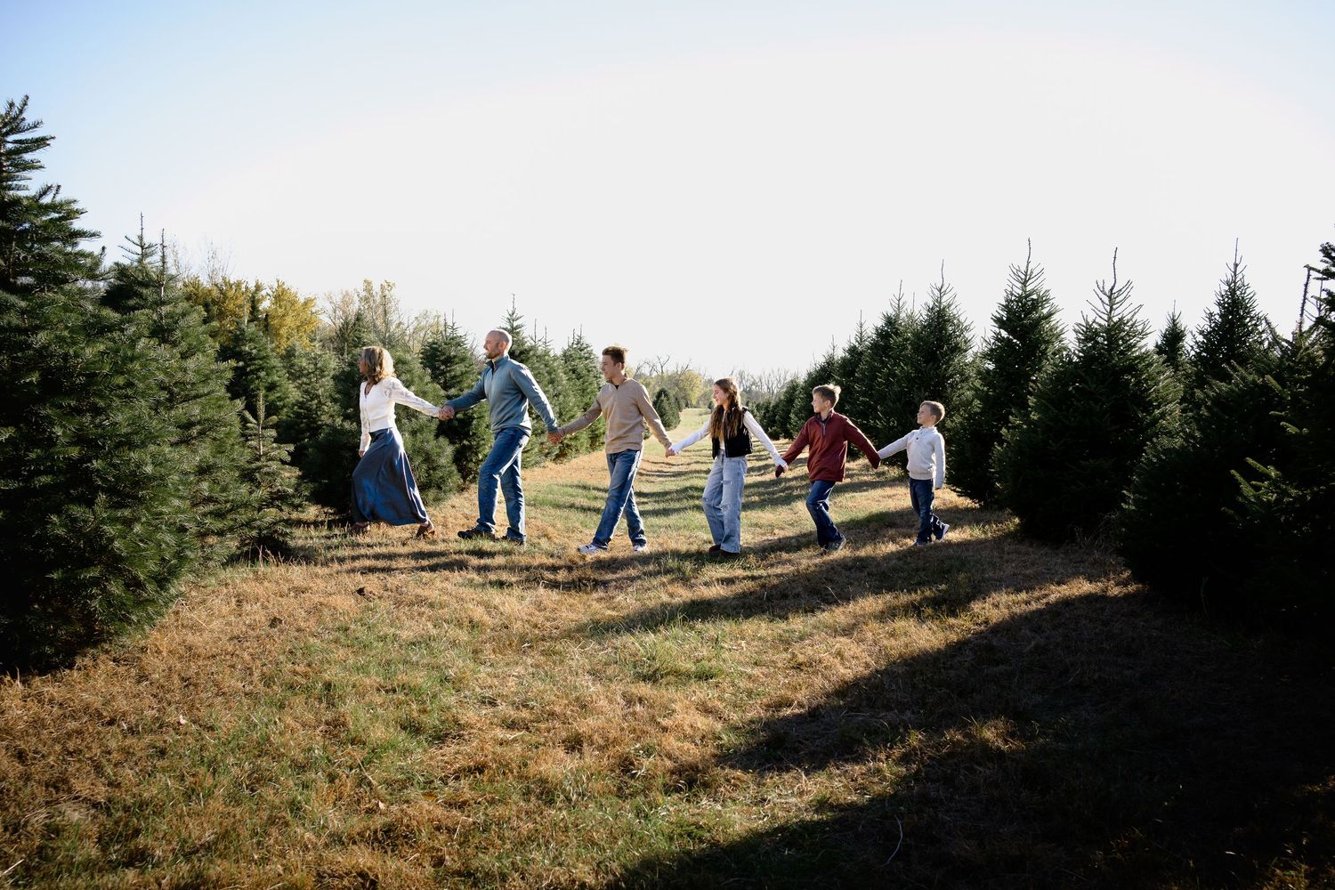 Family holding hands and walking through a Christmas tree farm on a sunny day.