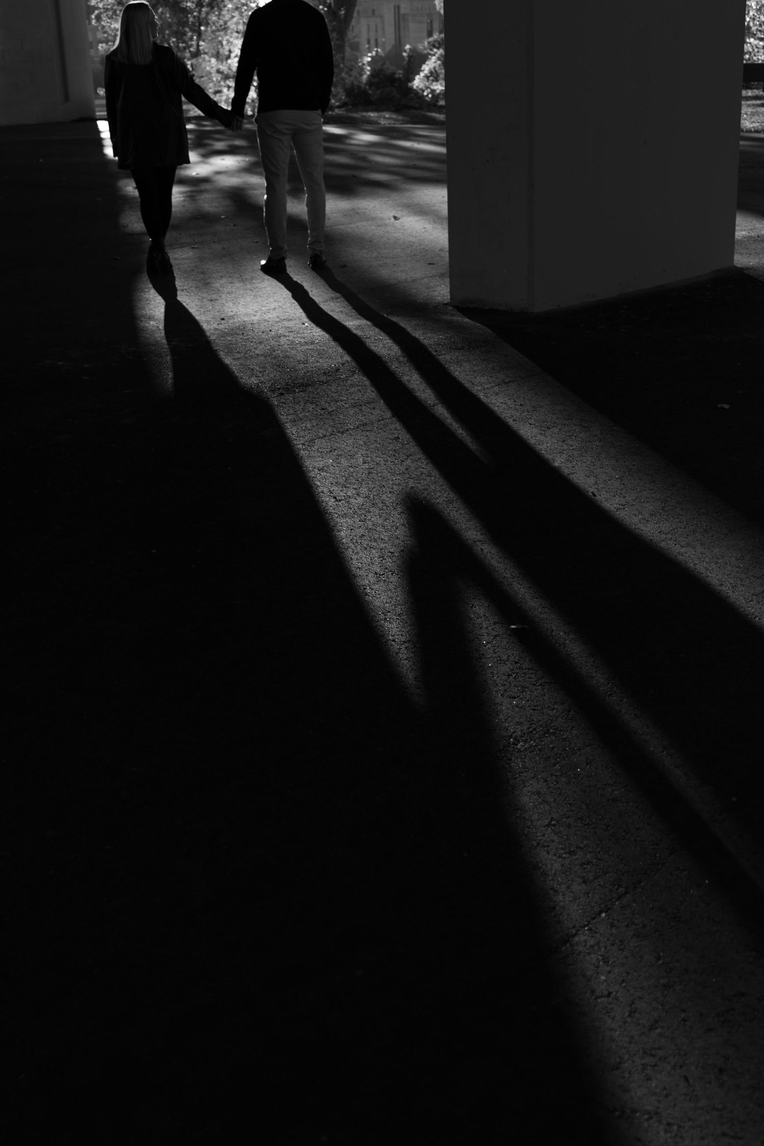 Long dramatic shadows cast on the ground in an artistic black and white composition.