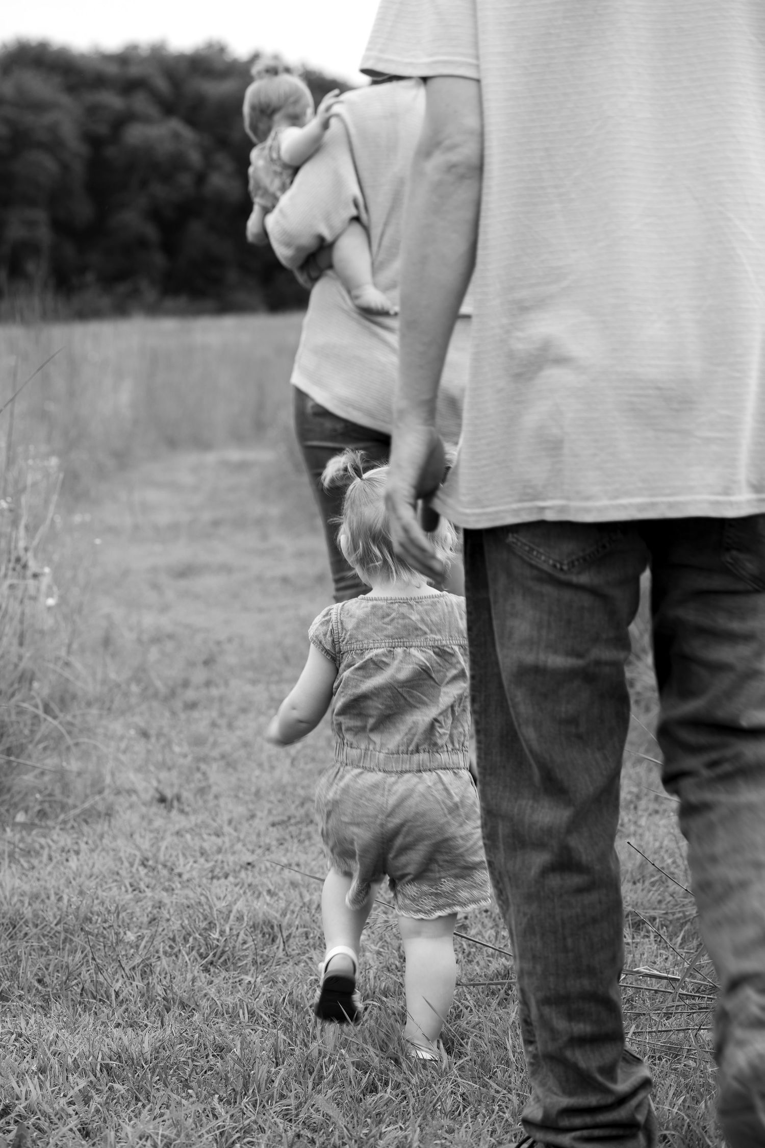 A series of black and white photos showing playful interactions in a grassy field.