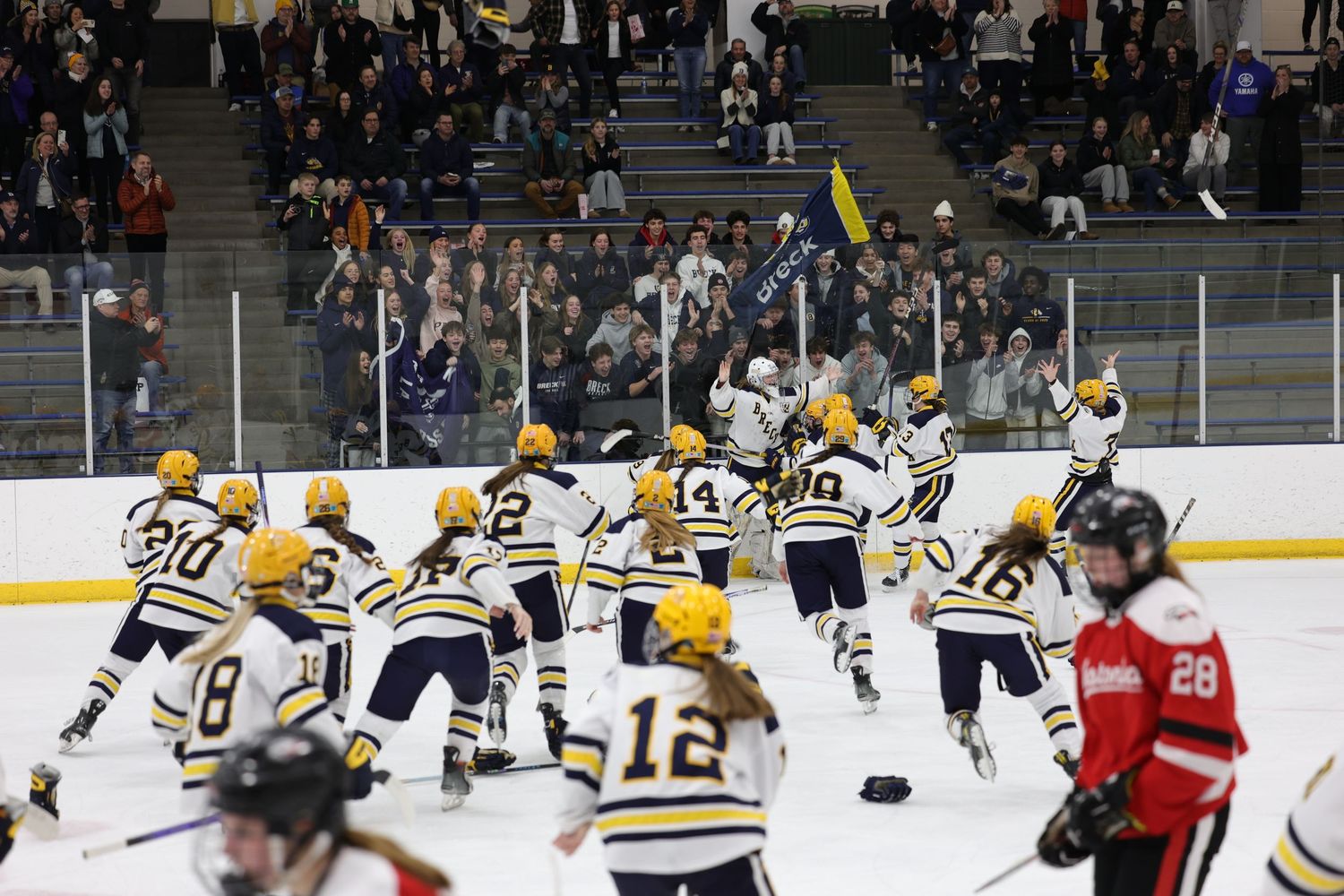 Hockey players celebrating on ice after scoring goal during match.